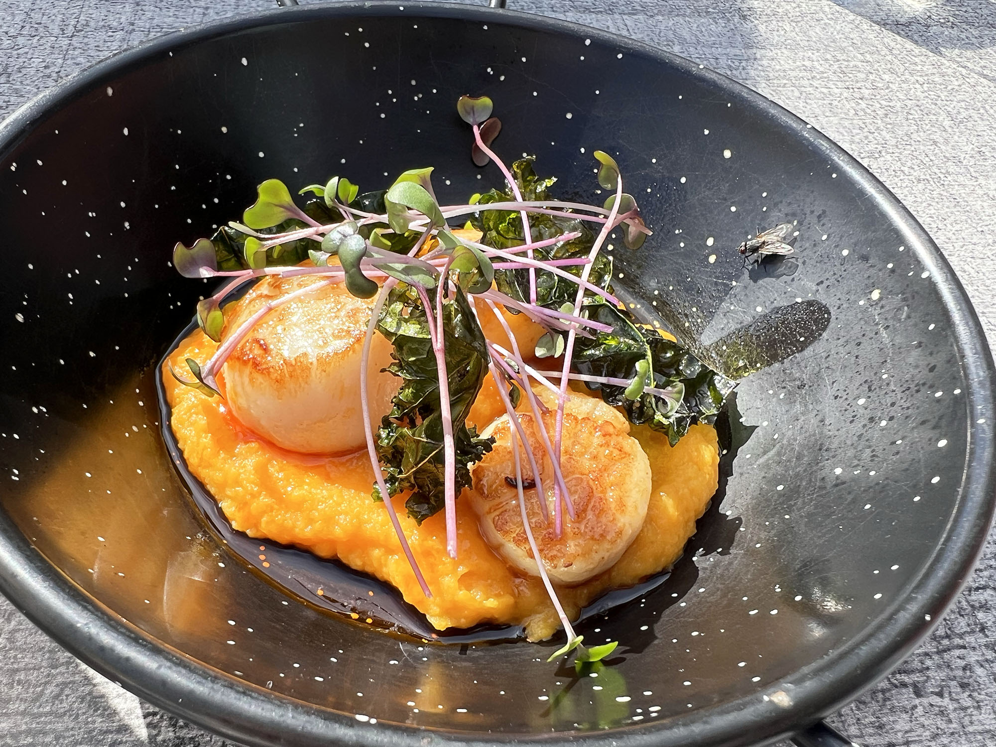Norway: Day trip to Hidra and lunch at Isbua
