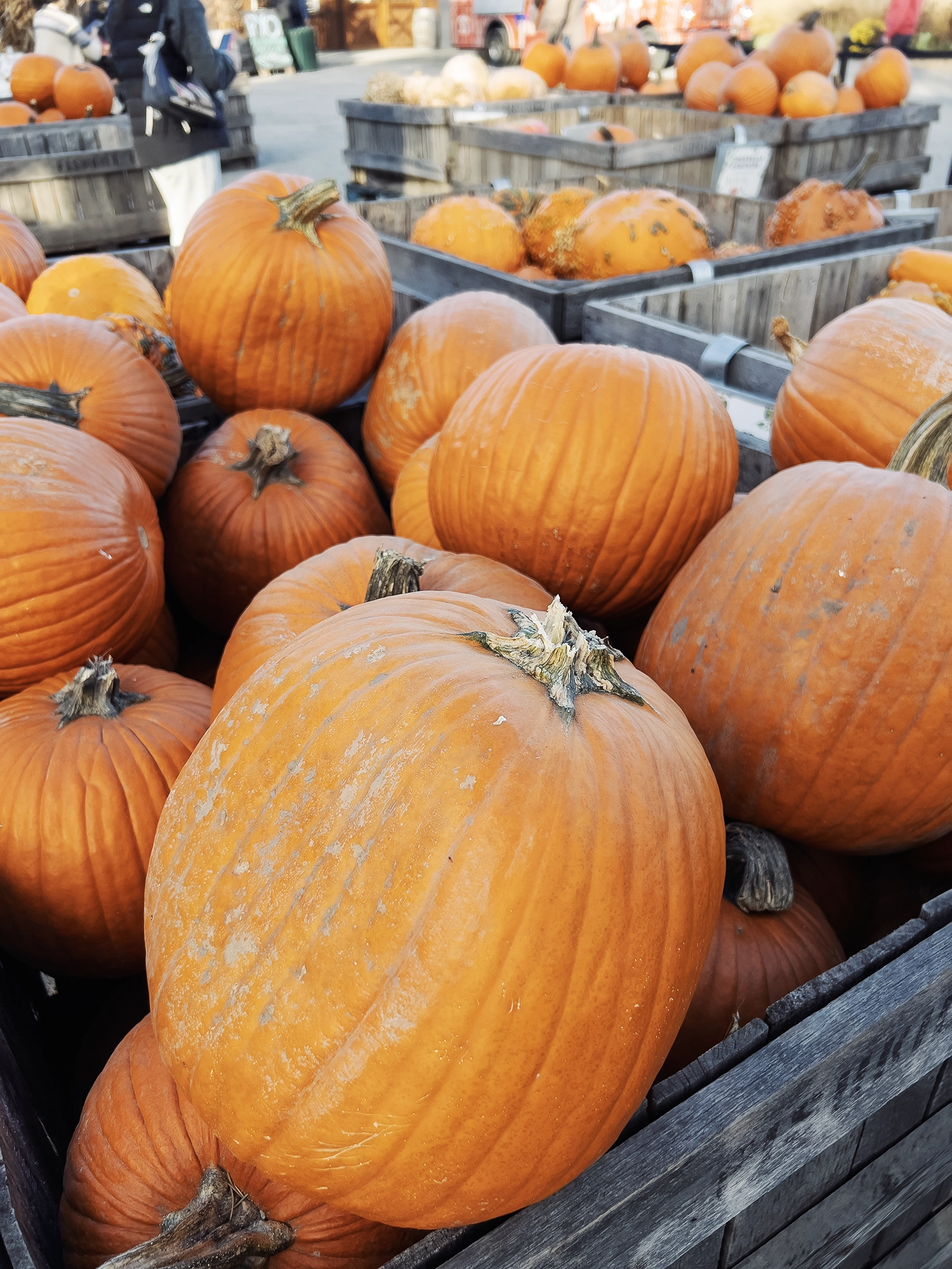 Fishkill Farms New York