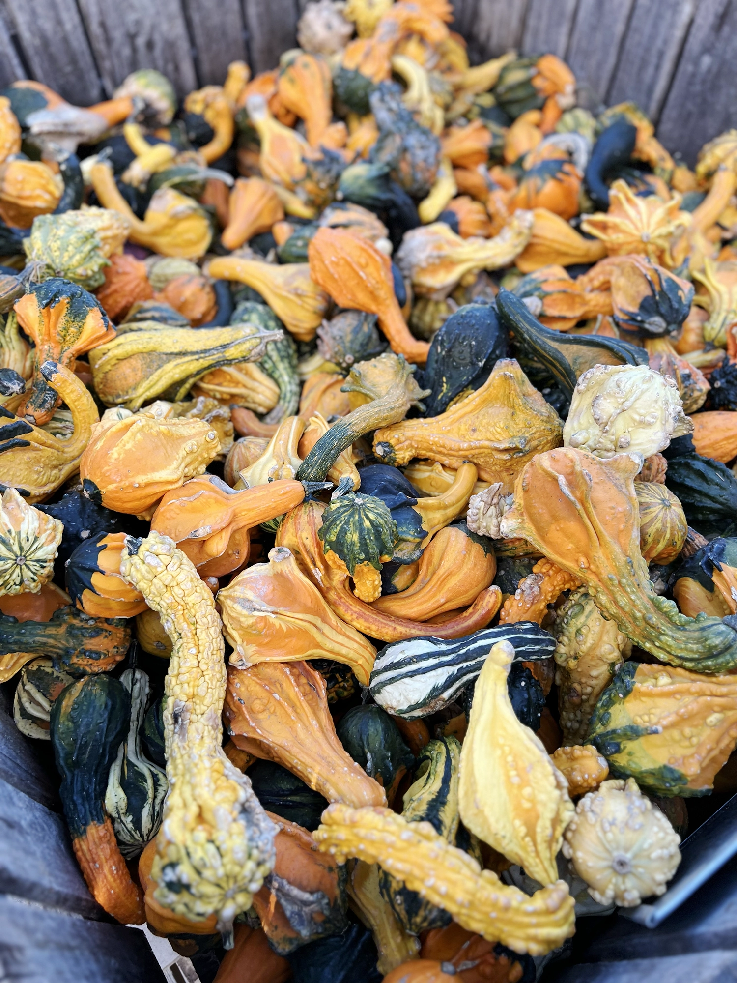 Fishkill Farms New York