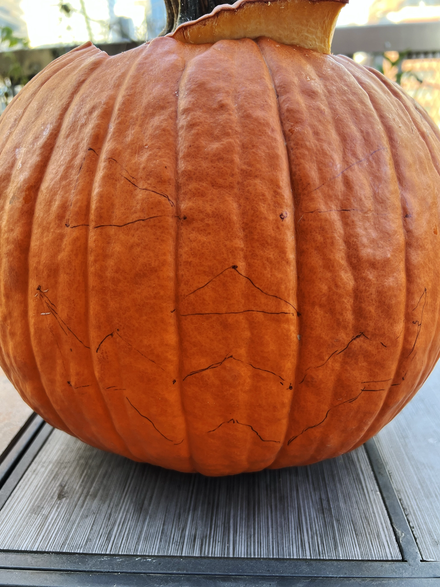 A Simple Guide to the Perfect Halloween Pumpkin