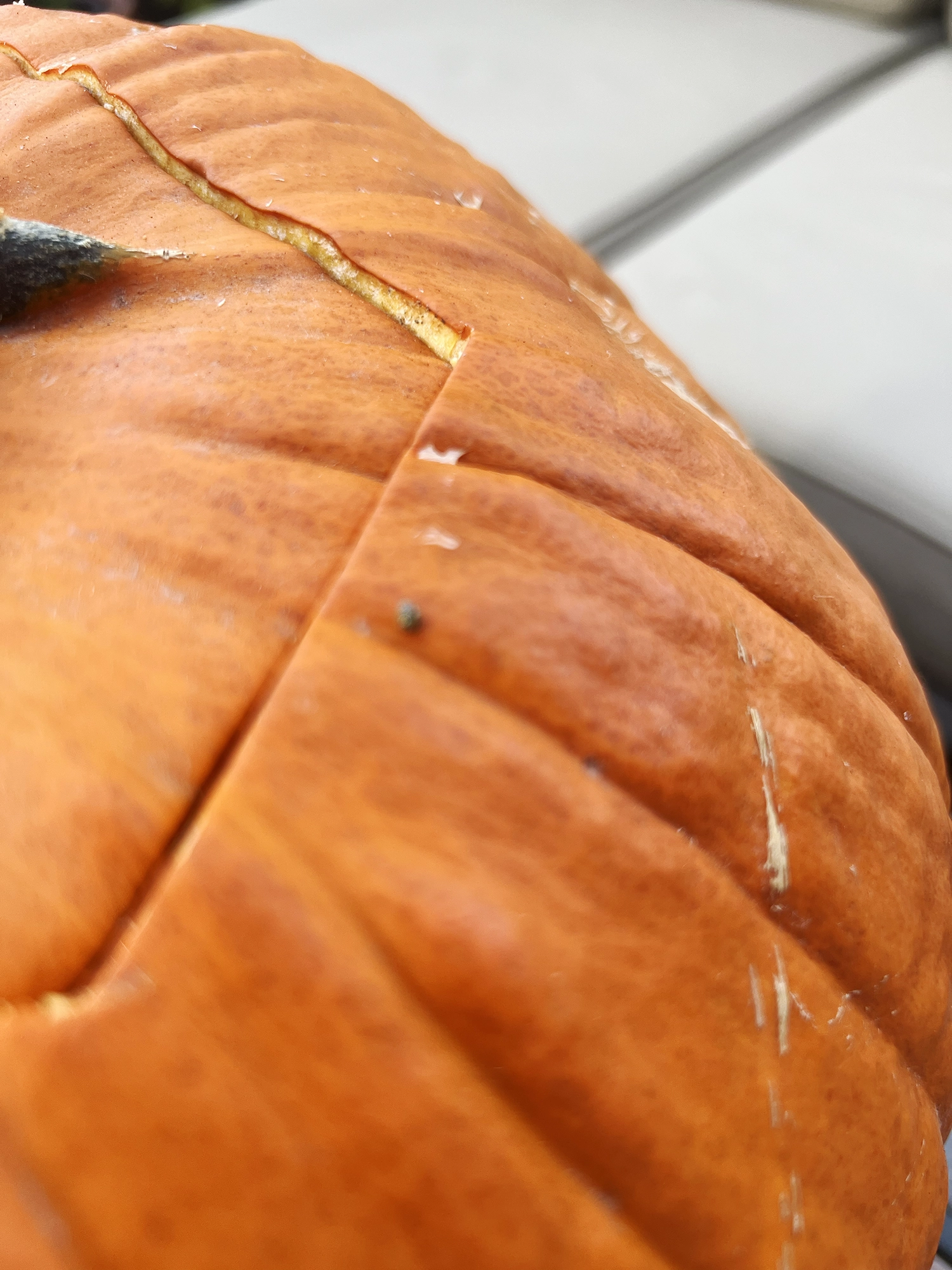 A Simple Guide to the Perfect Halloween Pumpkin
