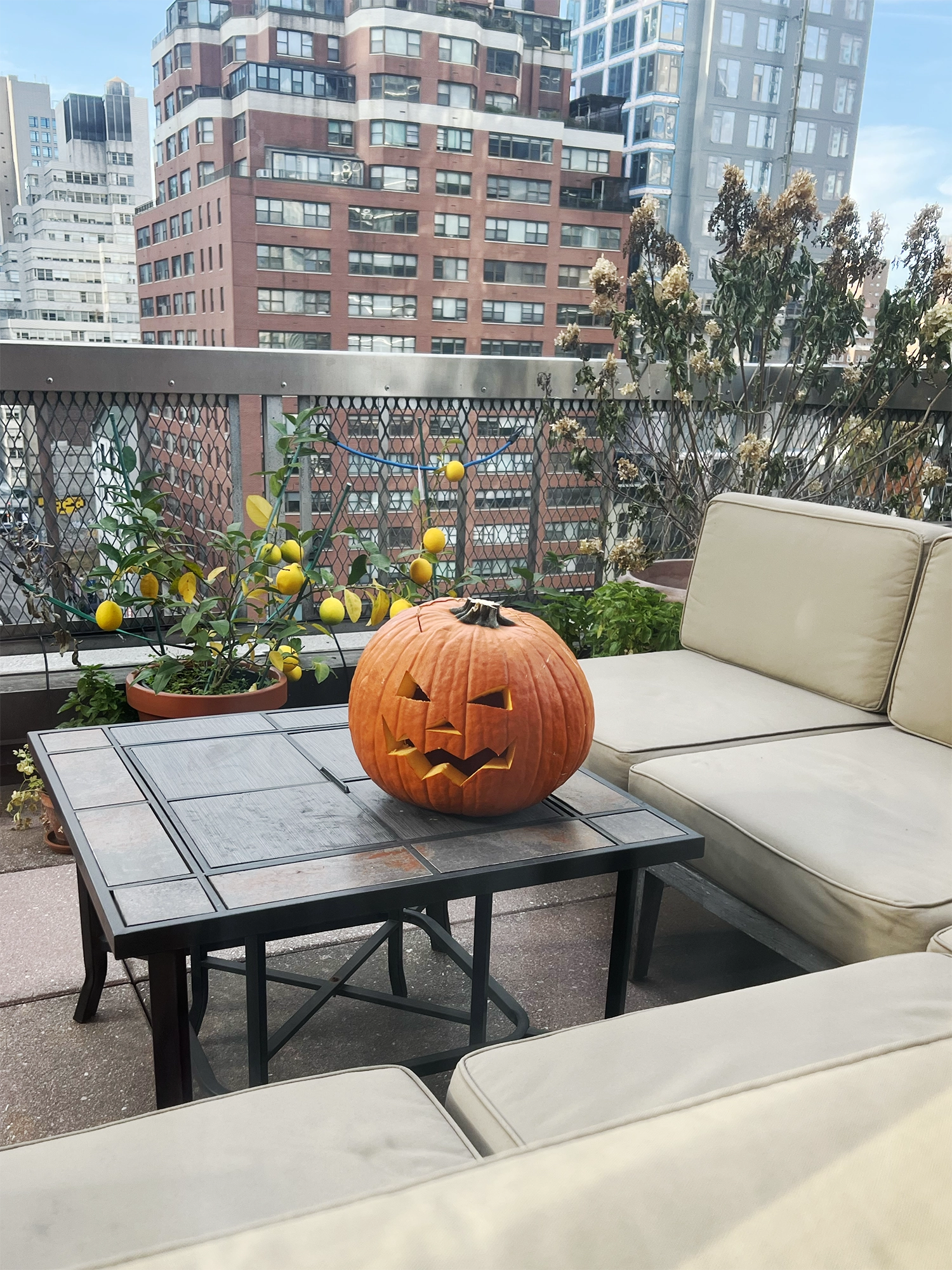 Pumpkin Carving Made Easy - A Simple Guide to the Perfect Halloween Pumpkin