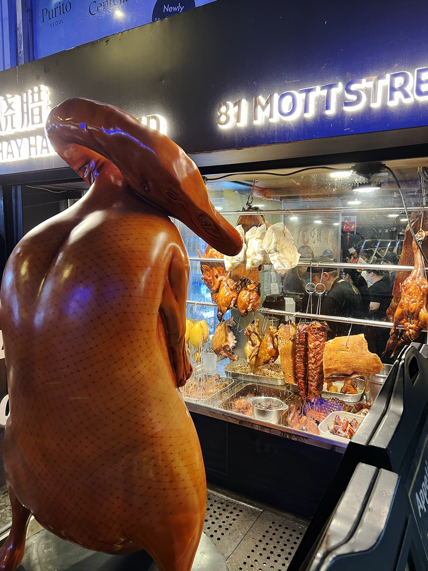 Hay Hay Roasted in Chinatown, New York City