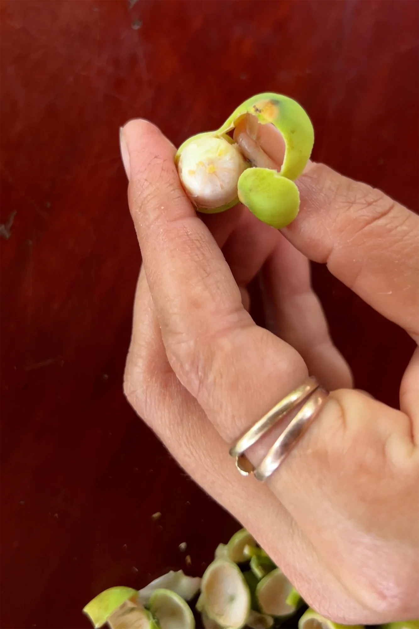 Cambodia: Fresh lotus seeds - A tasty snack from the market