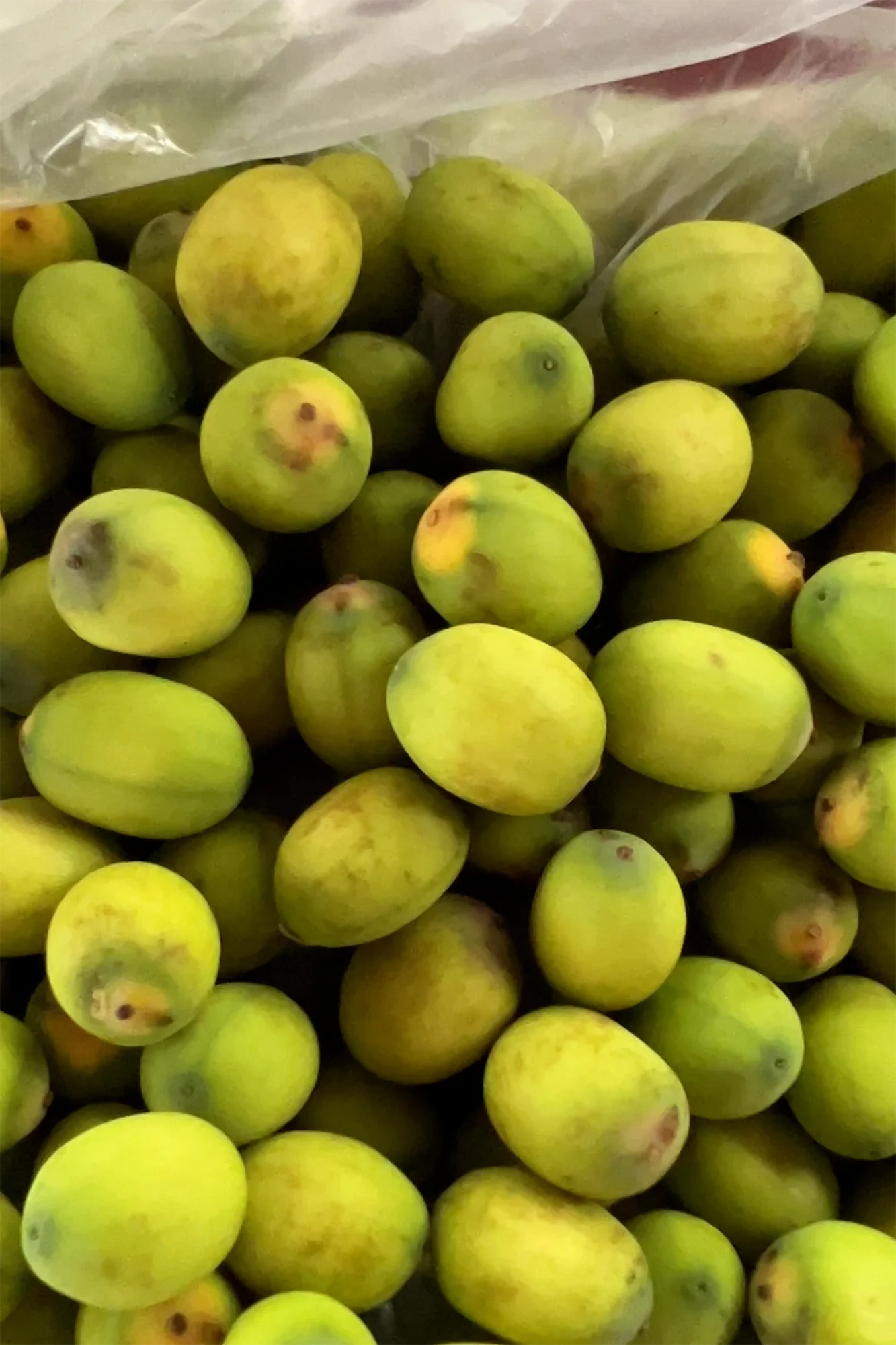 Cambodia: Fresh lotus seeds - A tasty snack from the market