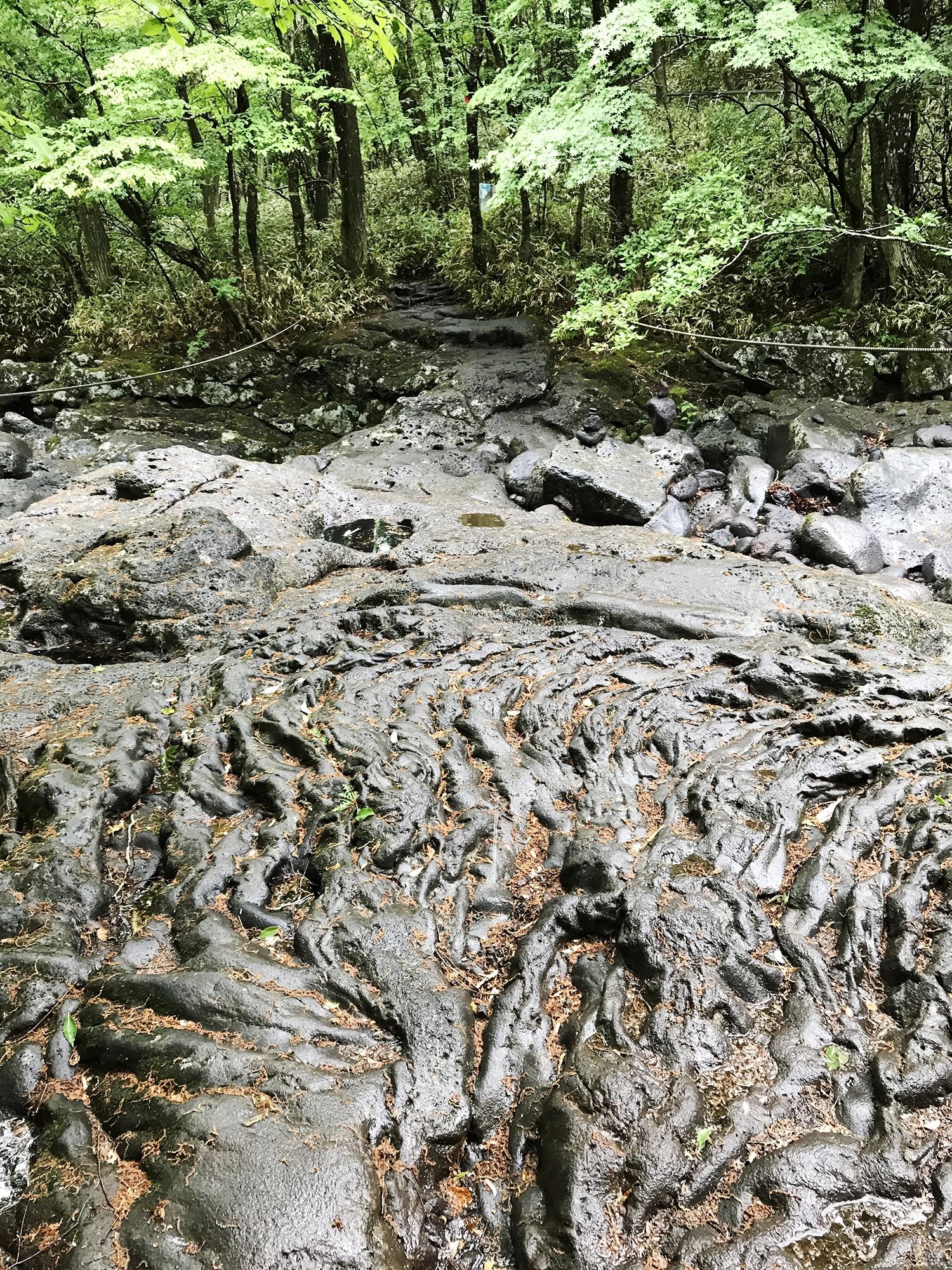 Guide to Hiking Hallasan