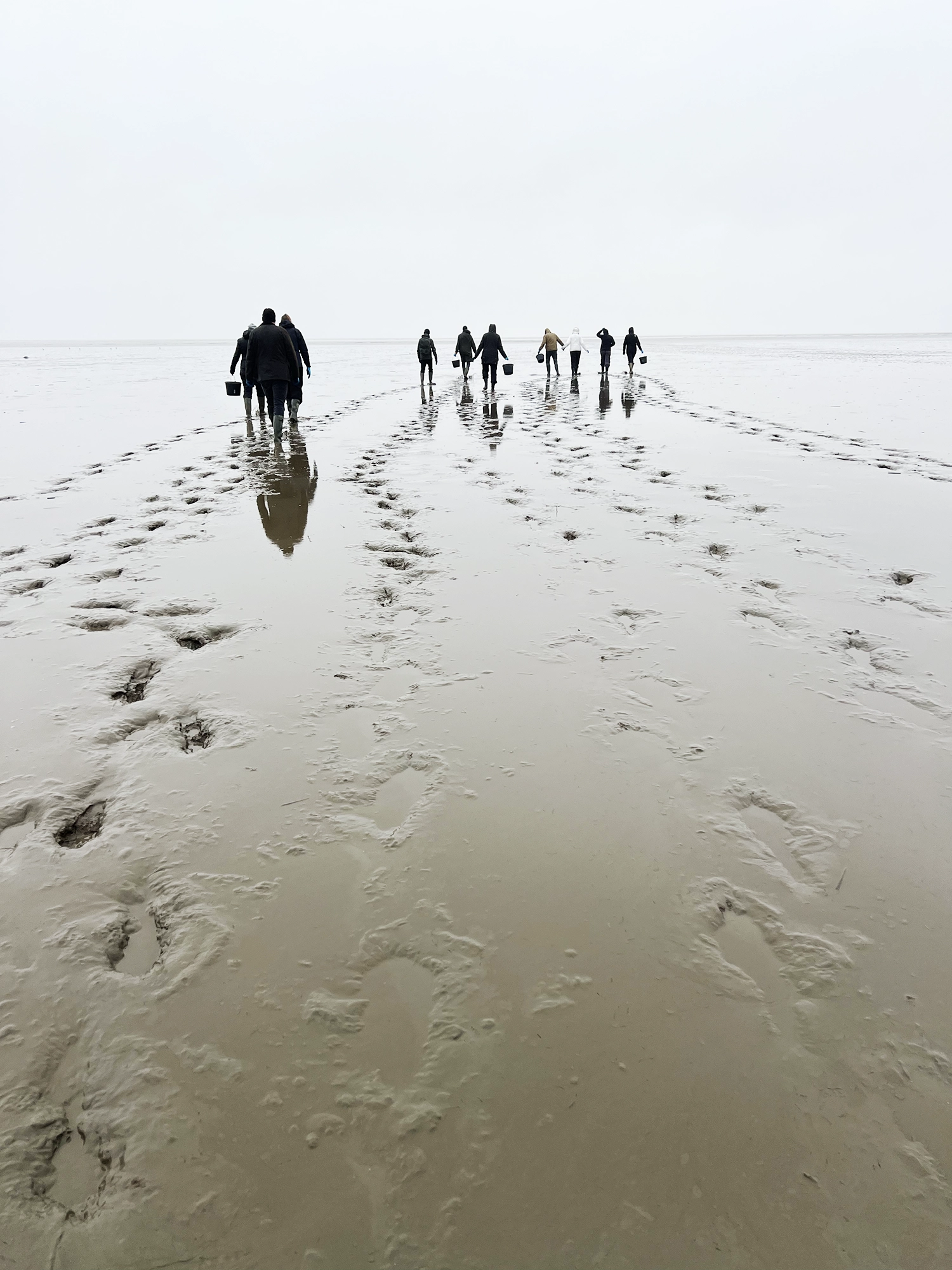 Denmark: Oyster Safari at the Wadden Sea