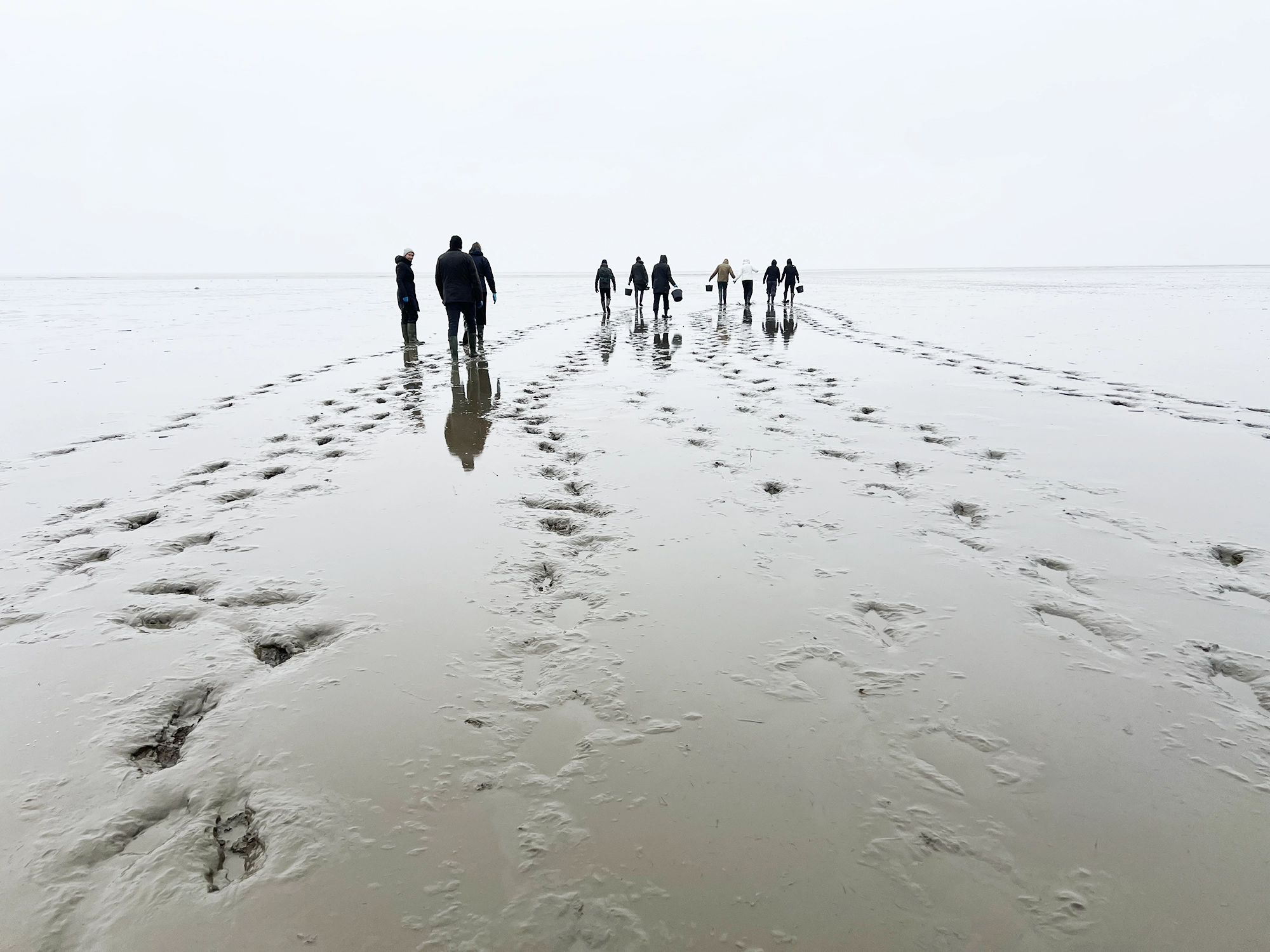 Denmark: Oyster Safari at the Wadden Sea