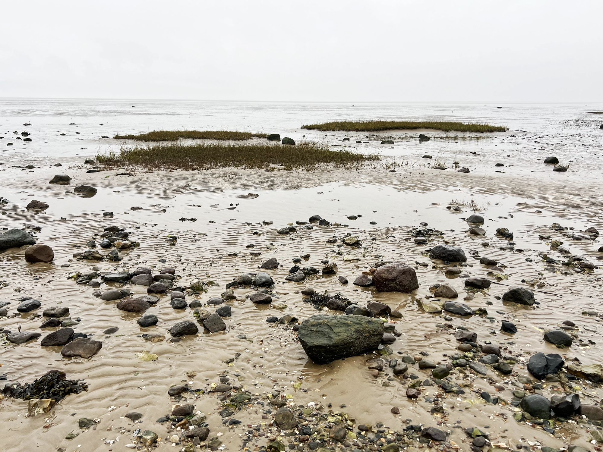 Denmark: Oyster Safari at the Wadden Sea