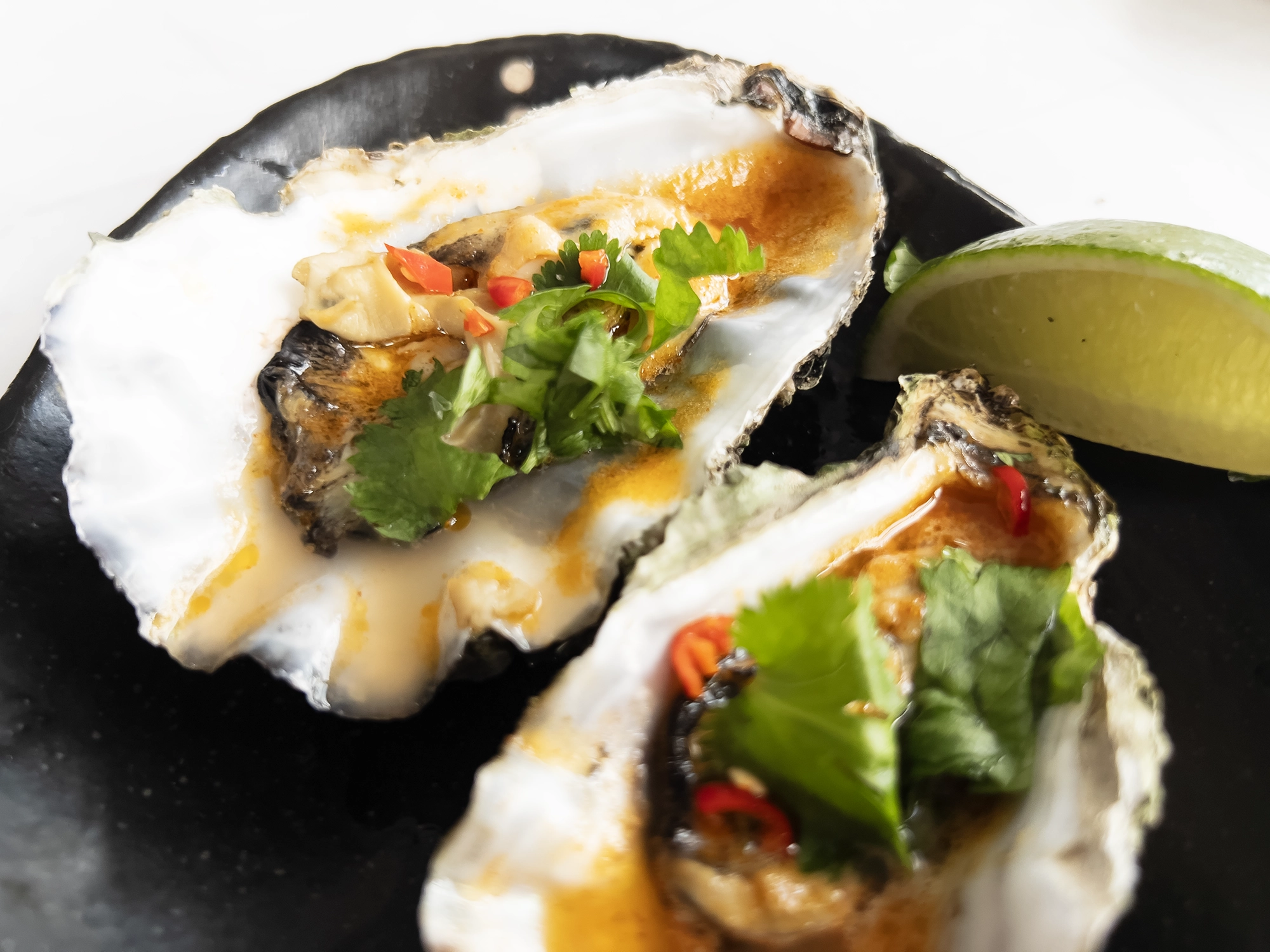 Oysters in tom yum butter