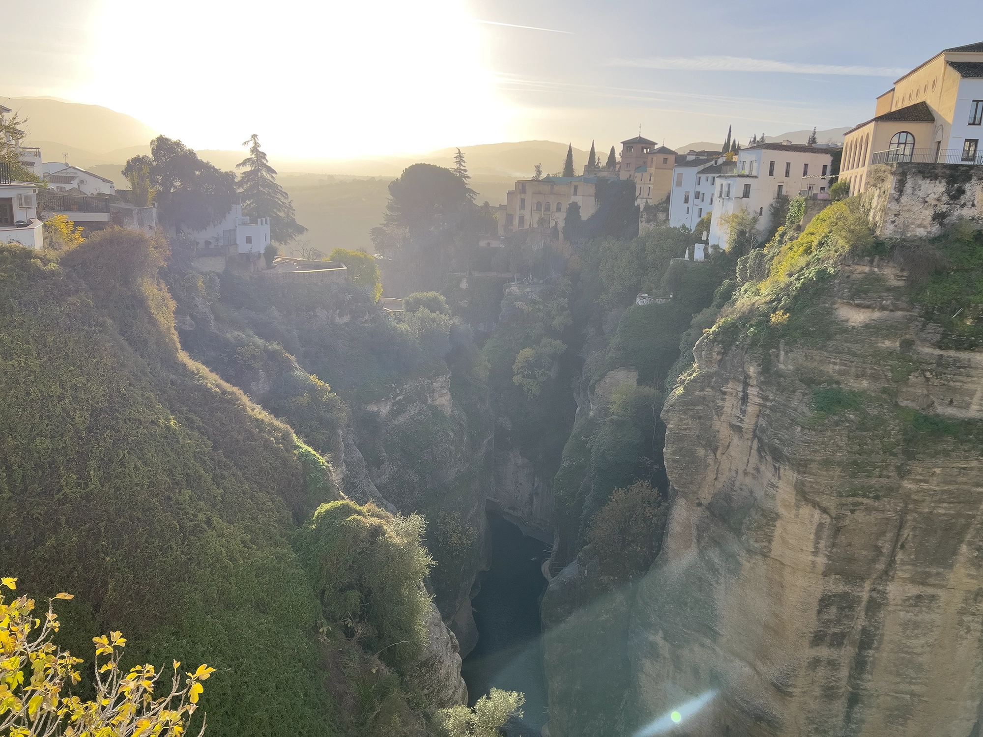 Ronda Blog
