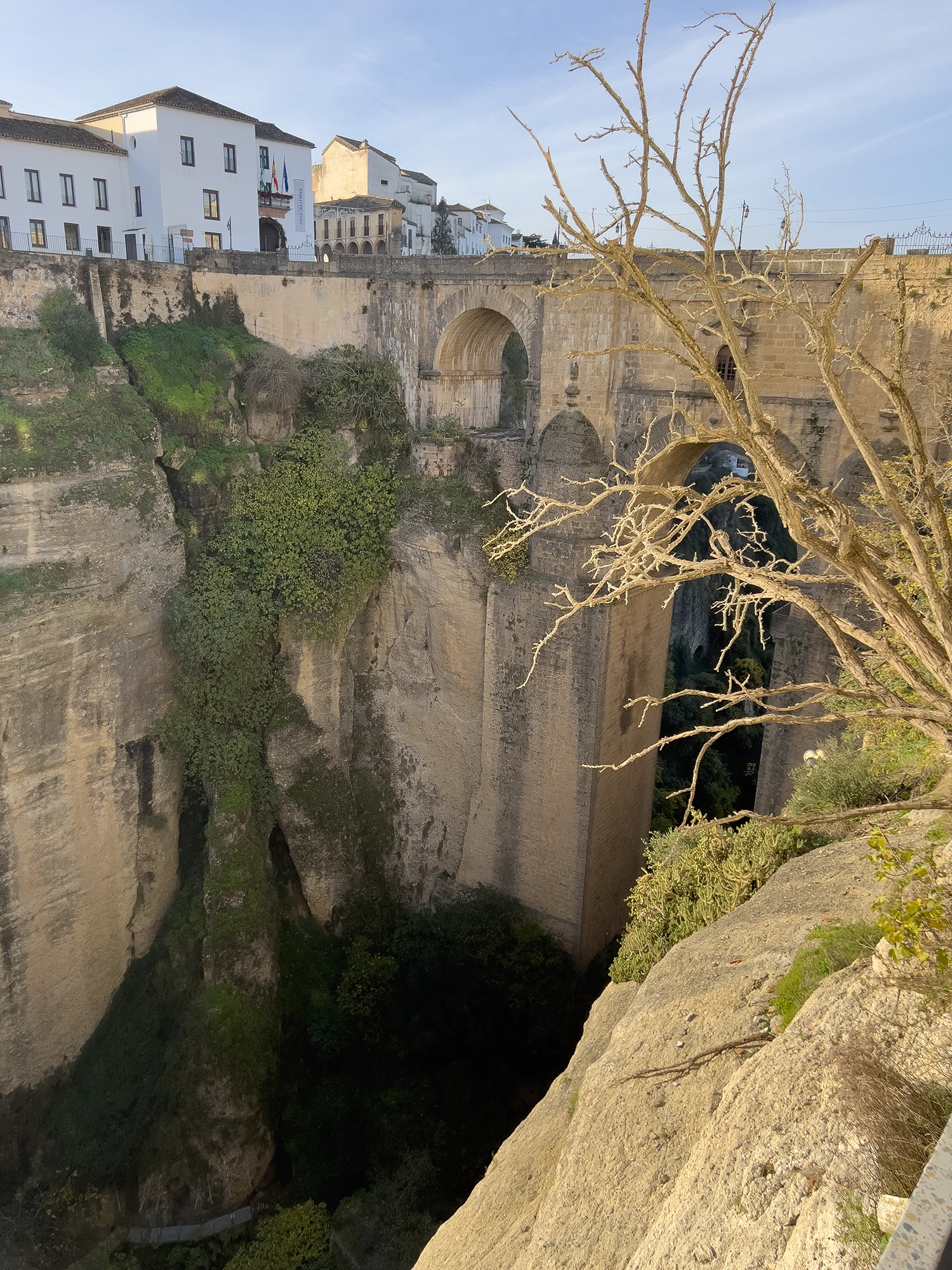 Ronda Blog