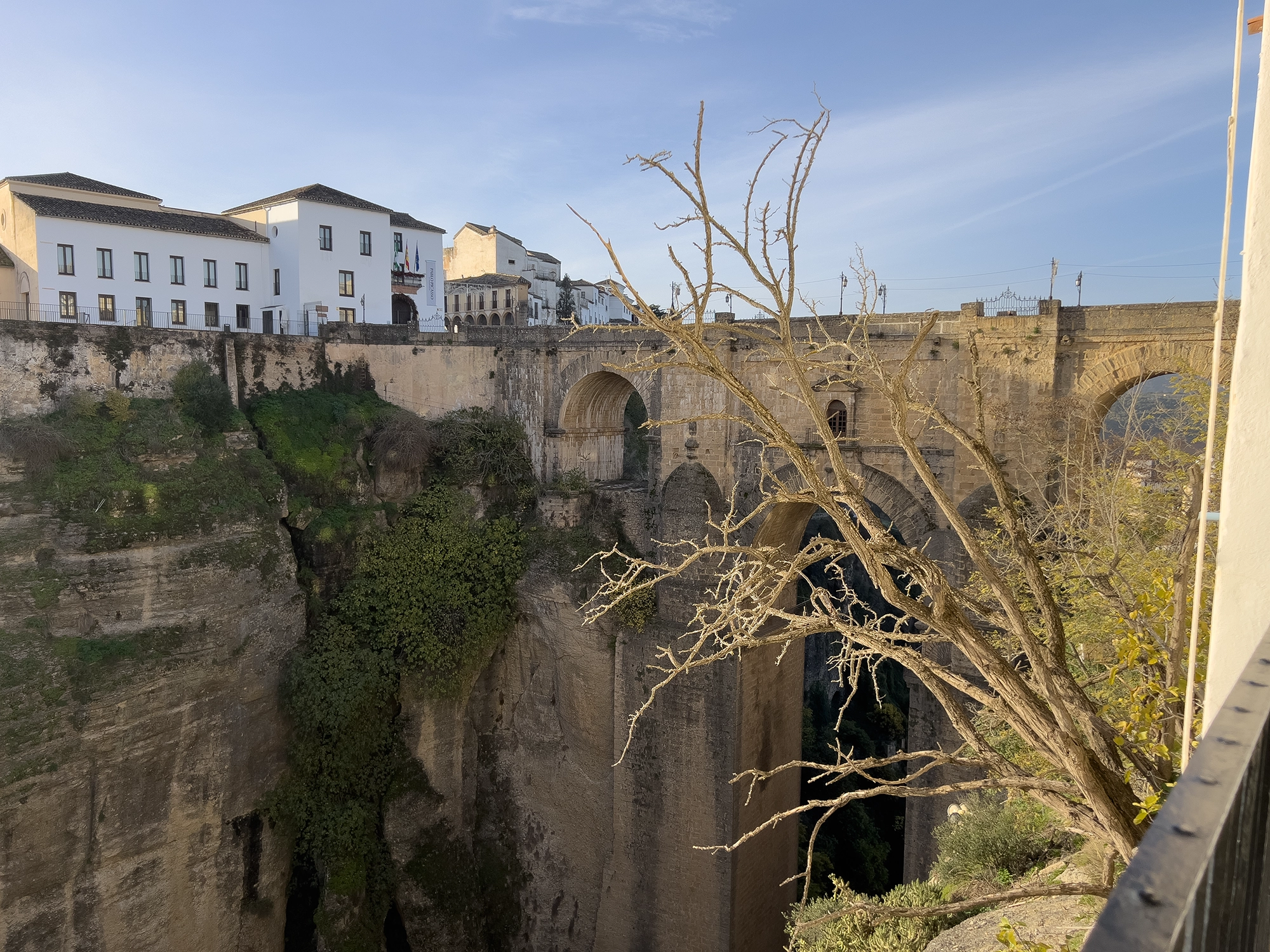 Ronda Blog
