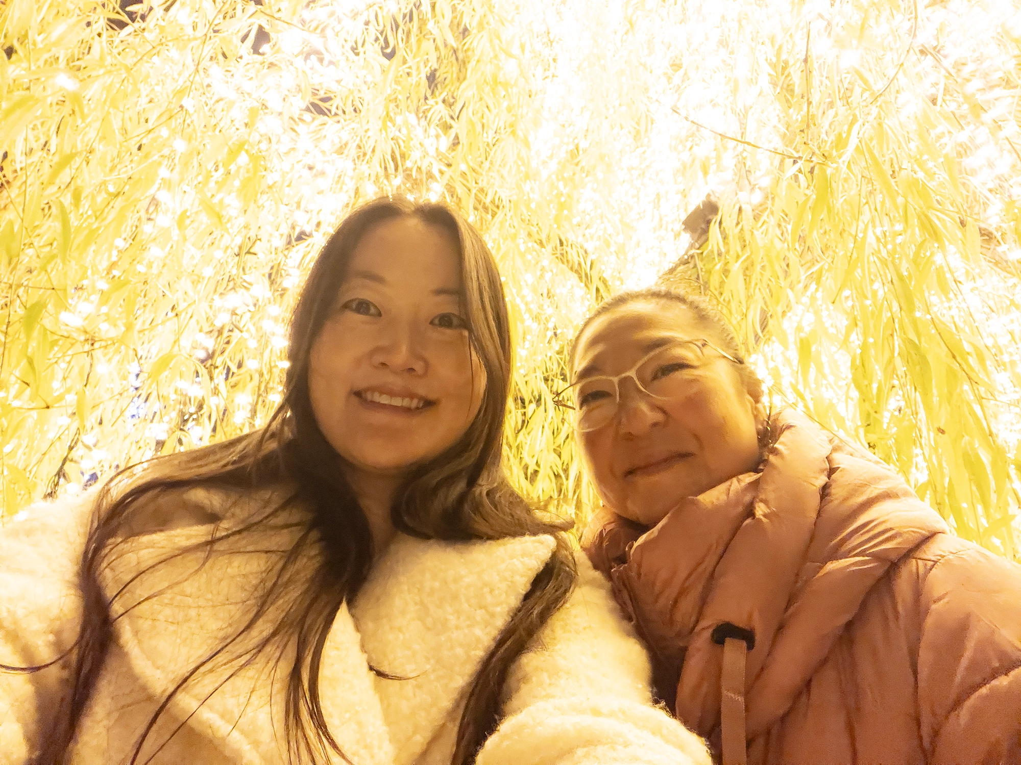 Christmas in Tivoli, Copenhagen