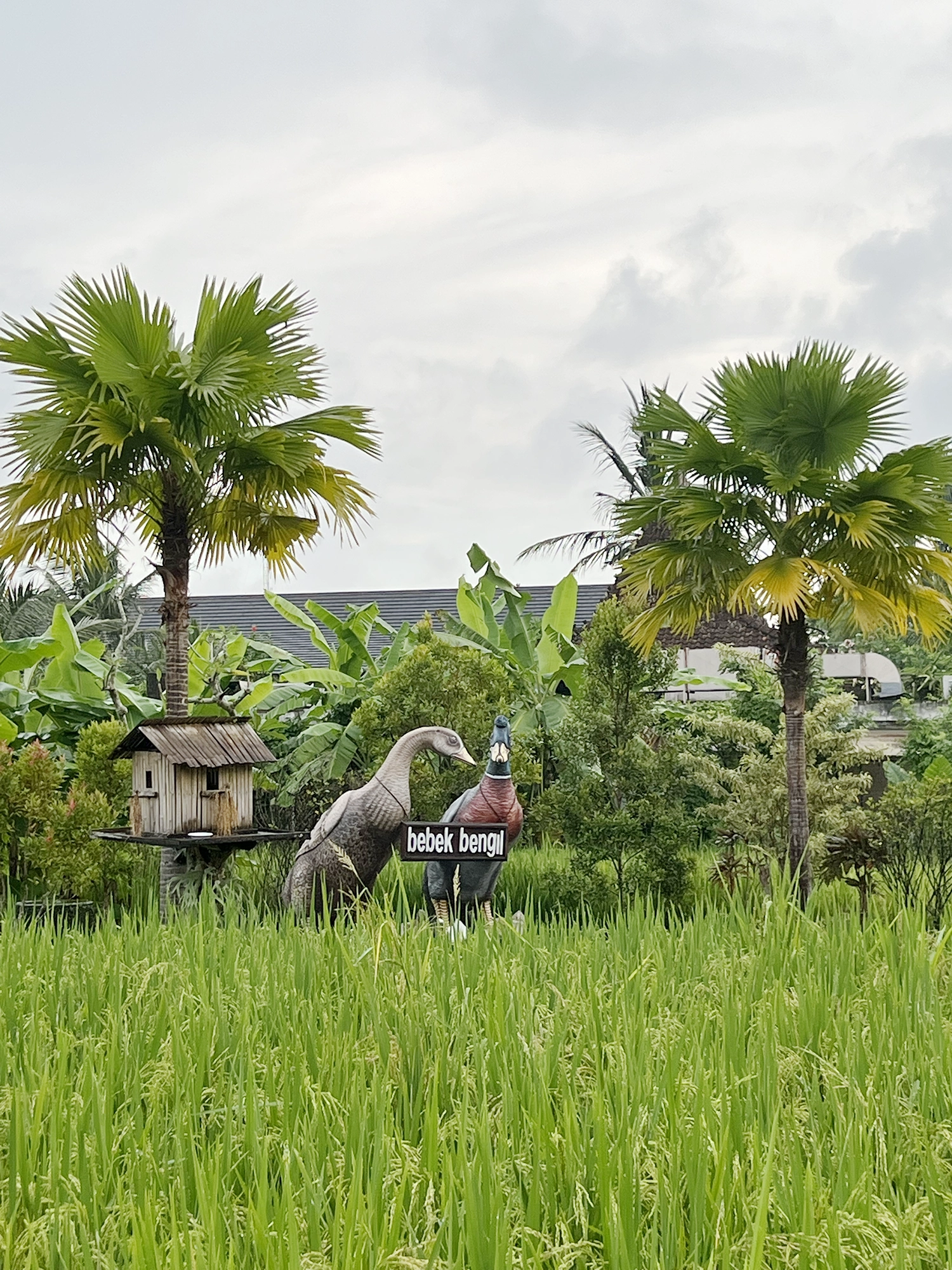 Ubud: Bebek Bengil - Crispy Duck and Beautiful Surroundings