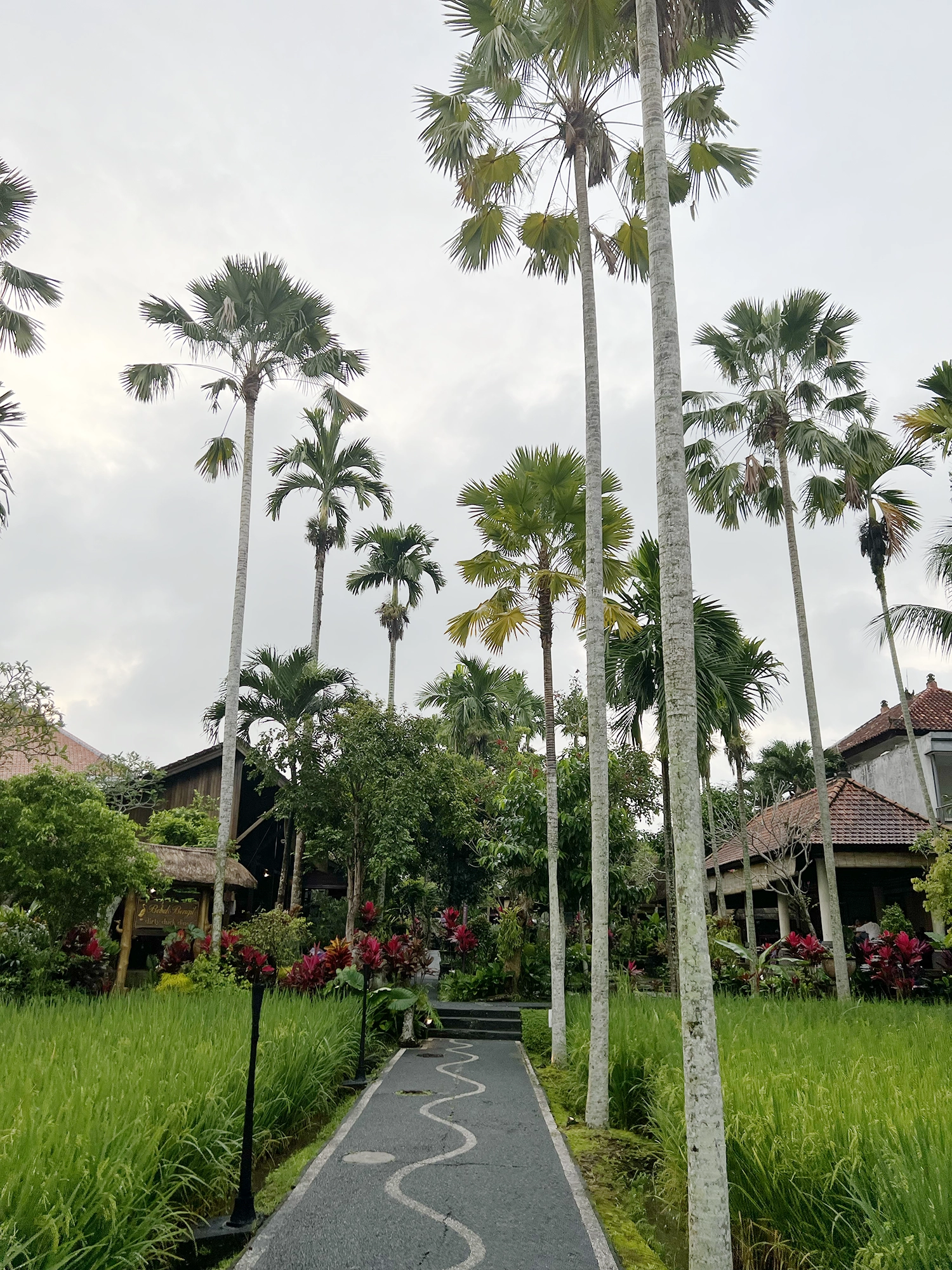 Ubud: Bebek Bengil - Crispy Duck and Beautiful Surroundings