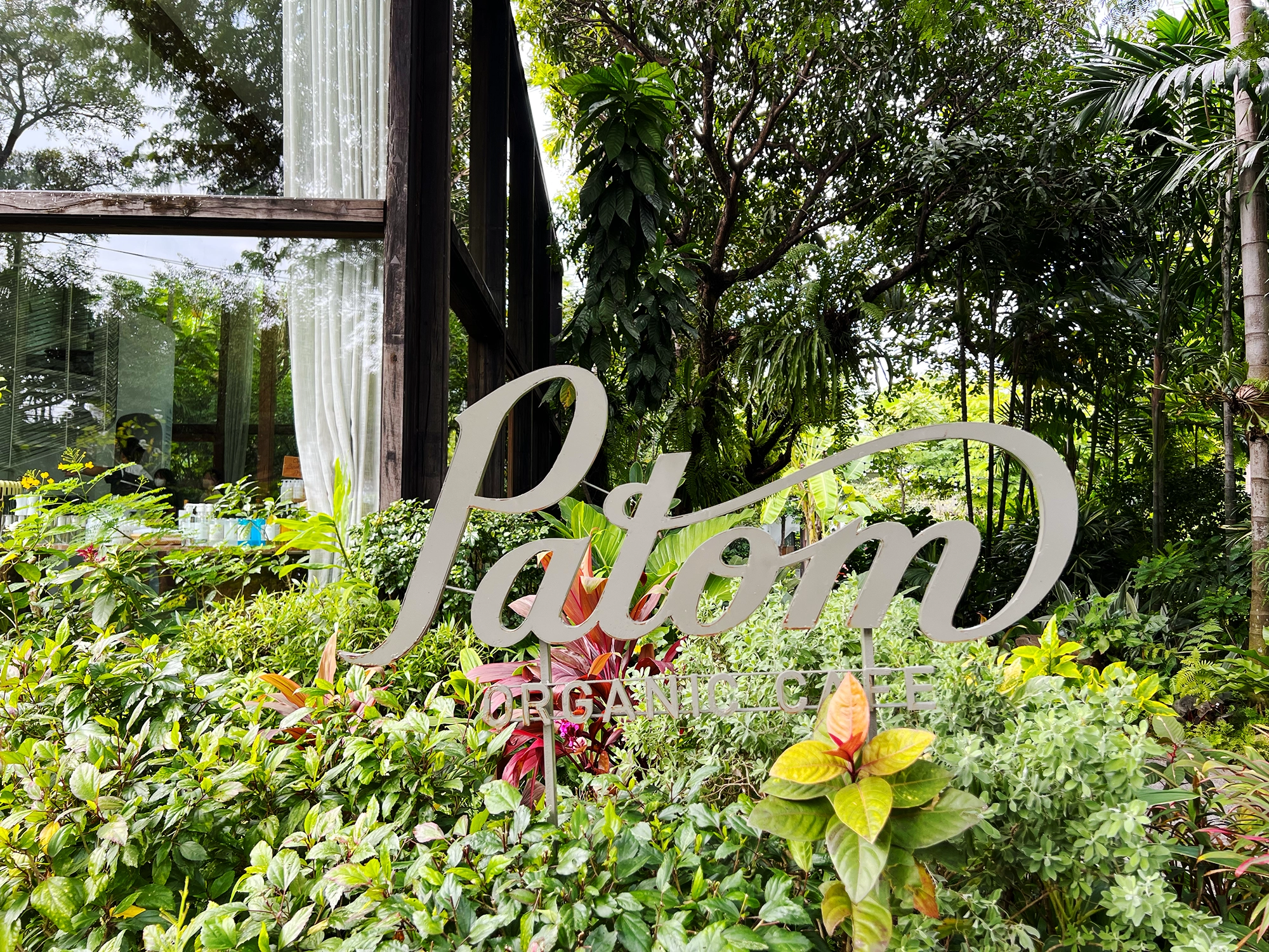 Bangkok: Patom - A Calm, Green Hideaway in Thonglor