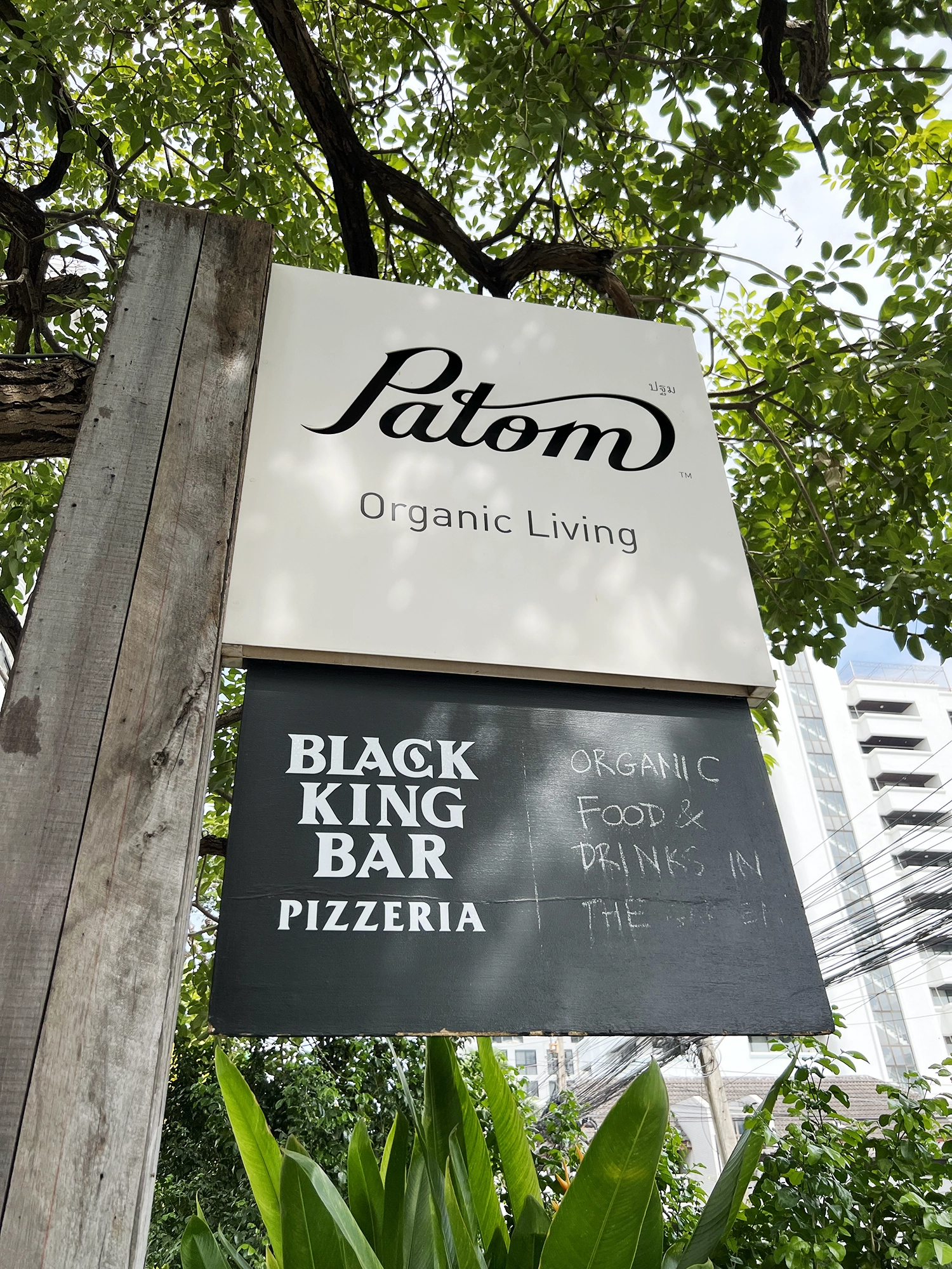 Bangkok: Patom - A Calm, Green Hideaway in Thonglor