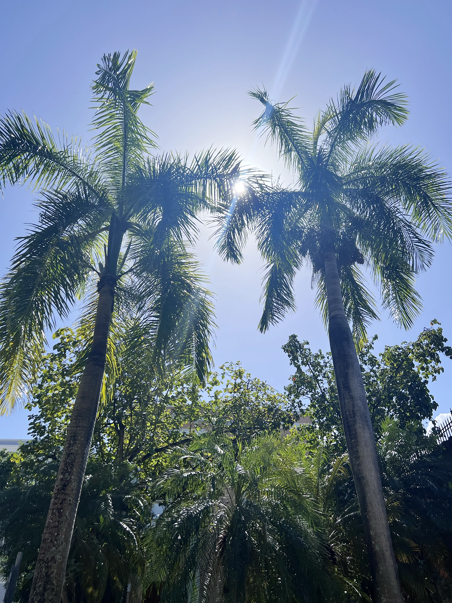 Puerto Rico: Old San Juan