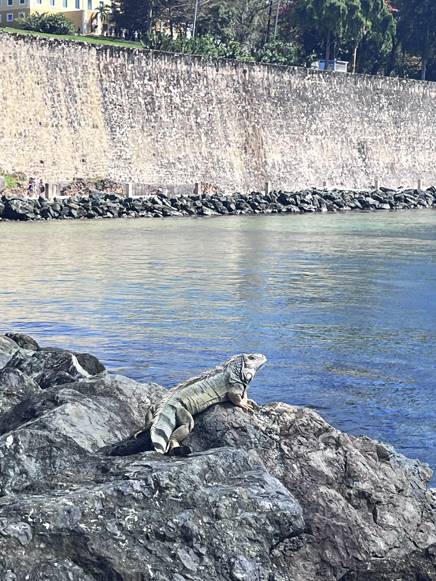 Puerto Rico: El Morro - The Fortress at the End of Old San Juan