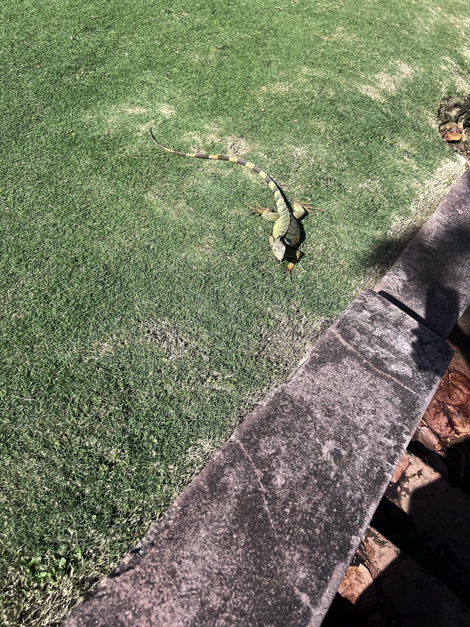 Puerto Rico: El Morro - The Fortress at the End of Old San Juan