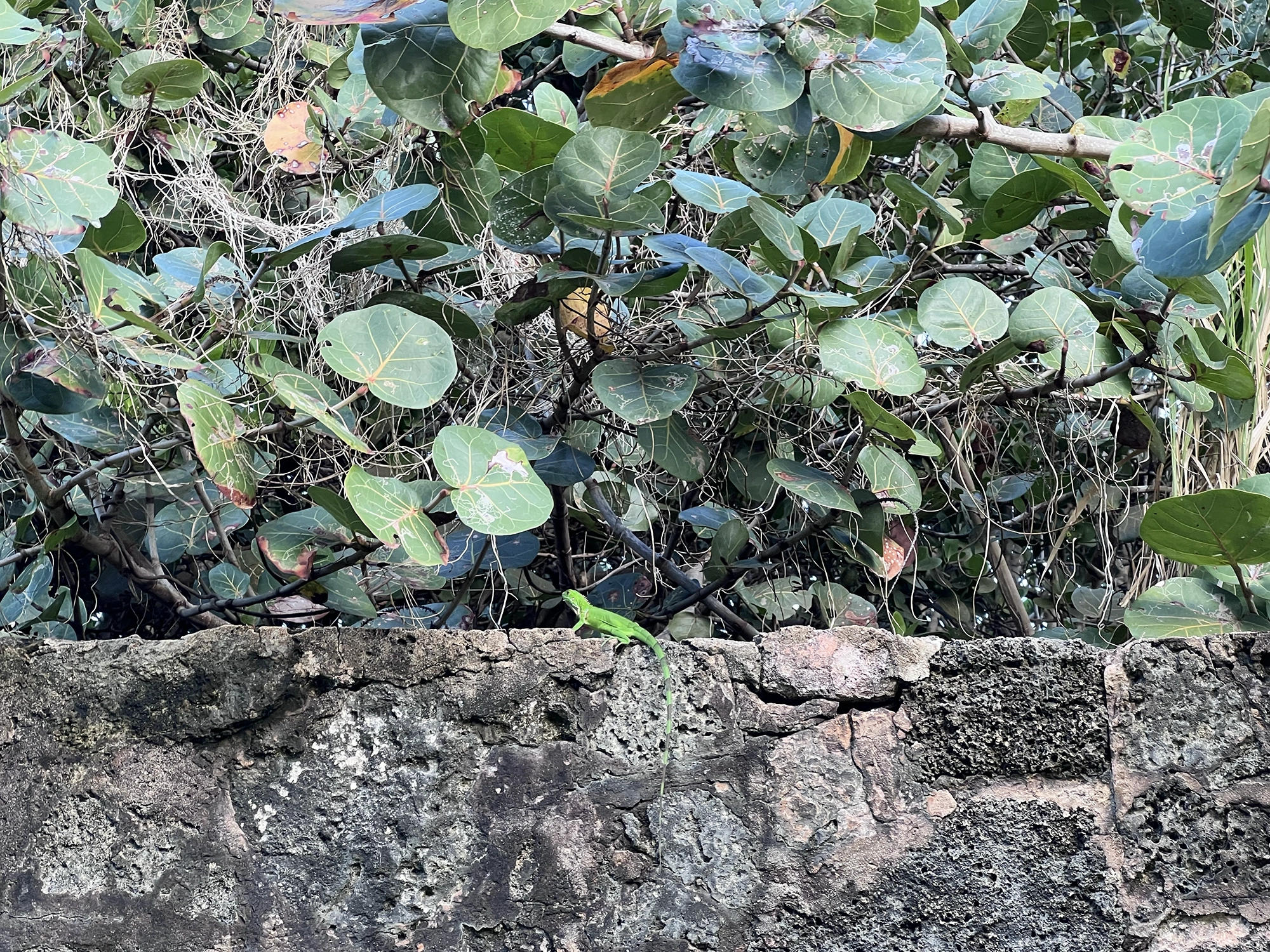 Puerto Rico: El Morro - The Fortress at the End of Old San Juan