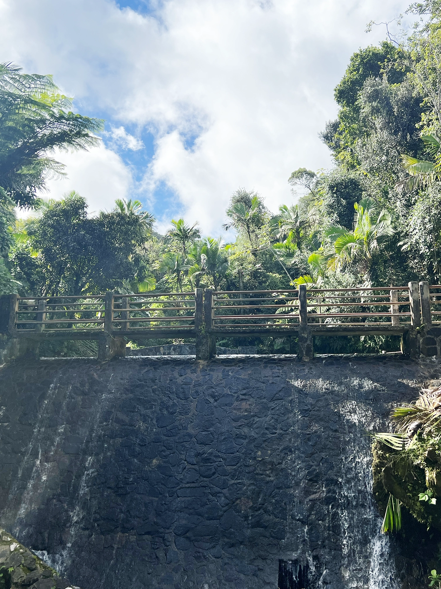 Puerto Rico: El Yunque - A Day Trip Into the Rainforest