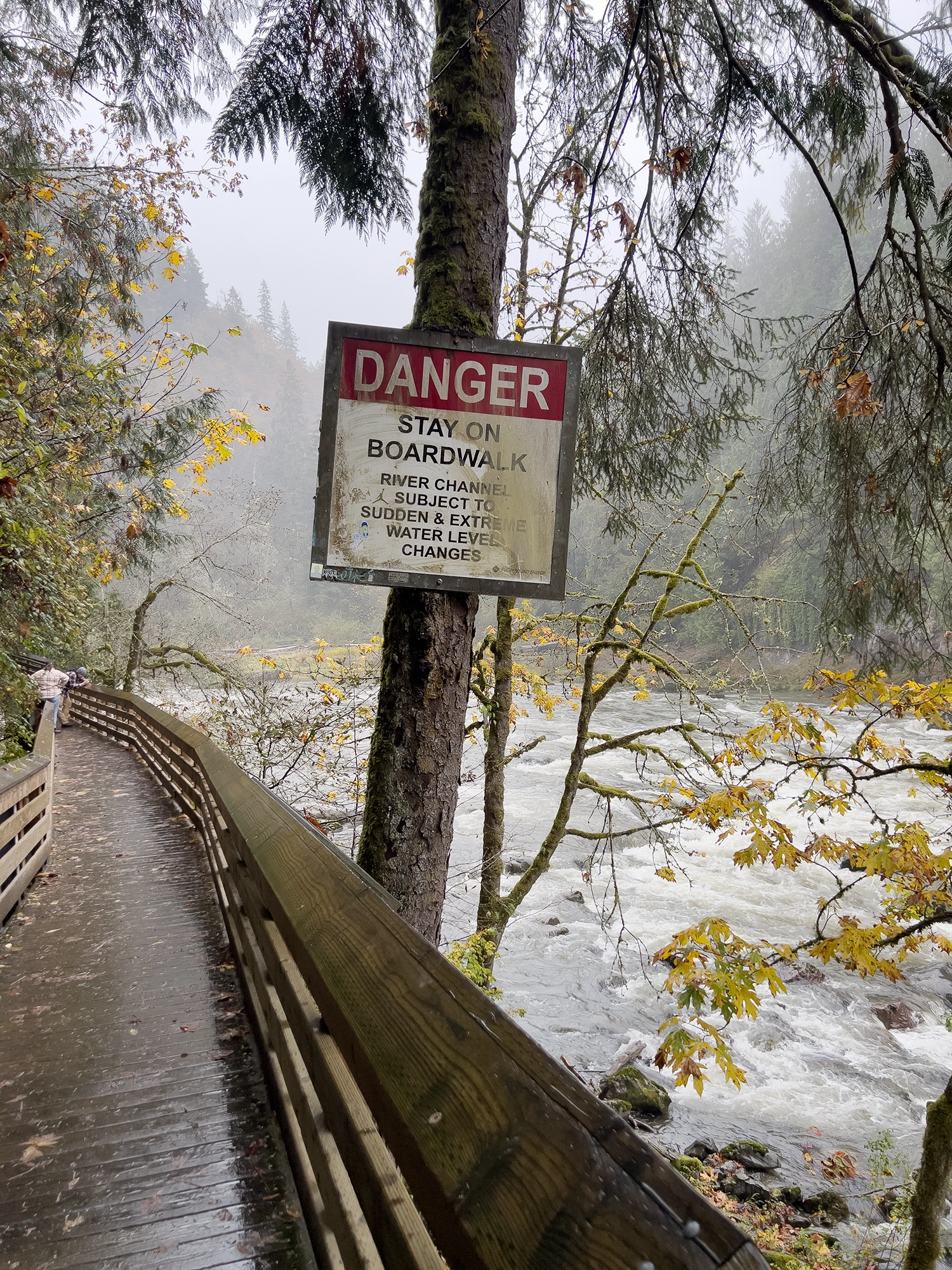 Snoqualmie Falls: The Twin Peaks Waterfall Just Outside Seattle