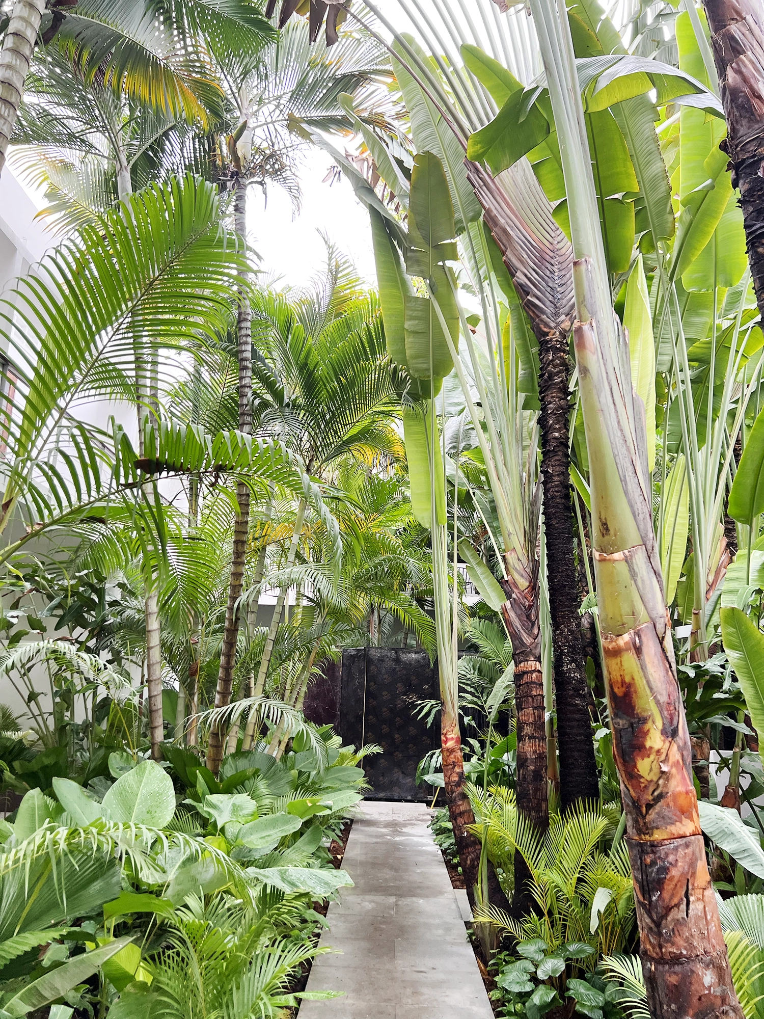 Plantation Urban Resort & Spa - My Favorite Hotel in Phnom Penh