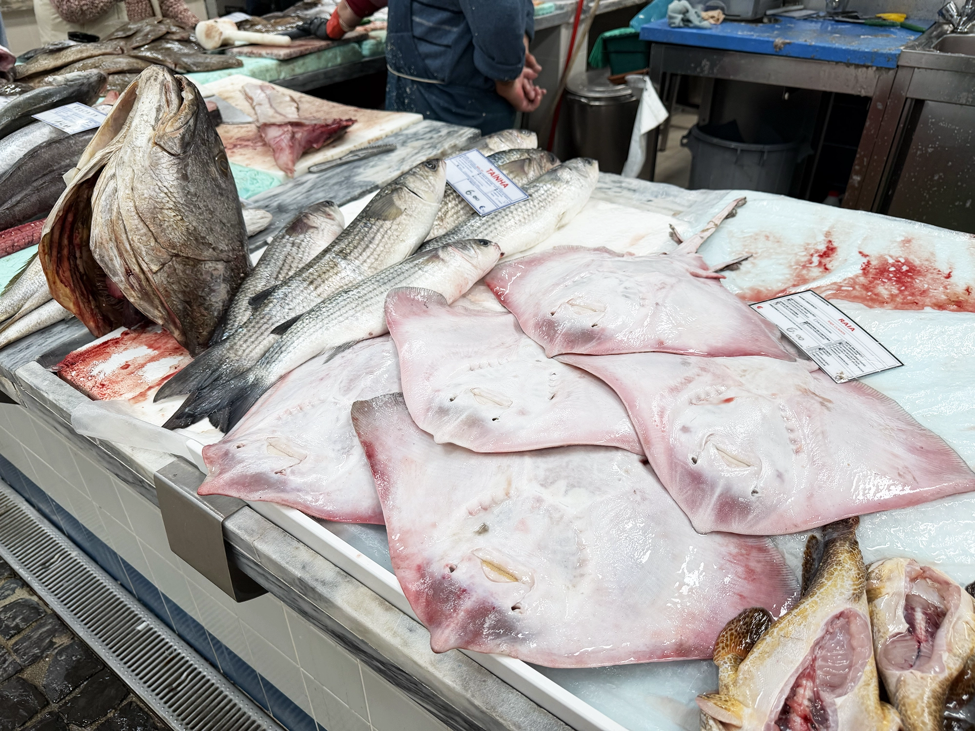 Mercado do Livramento in Setúbal: One of Portugal’s Best Food Markets