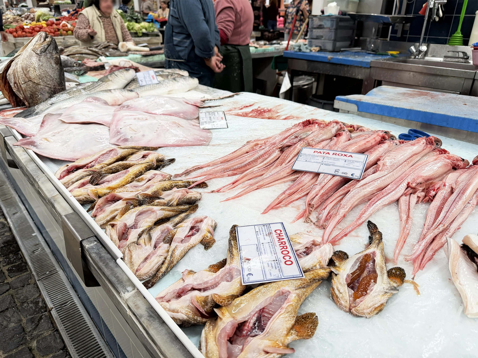 Mercado do Livramento in Setúbal: One of Portugal’s Best Food Markets
