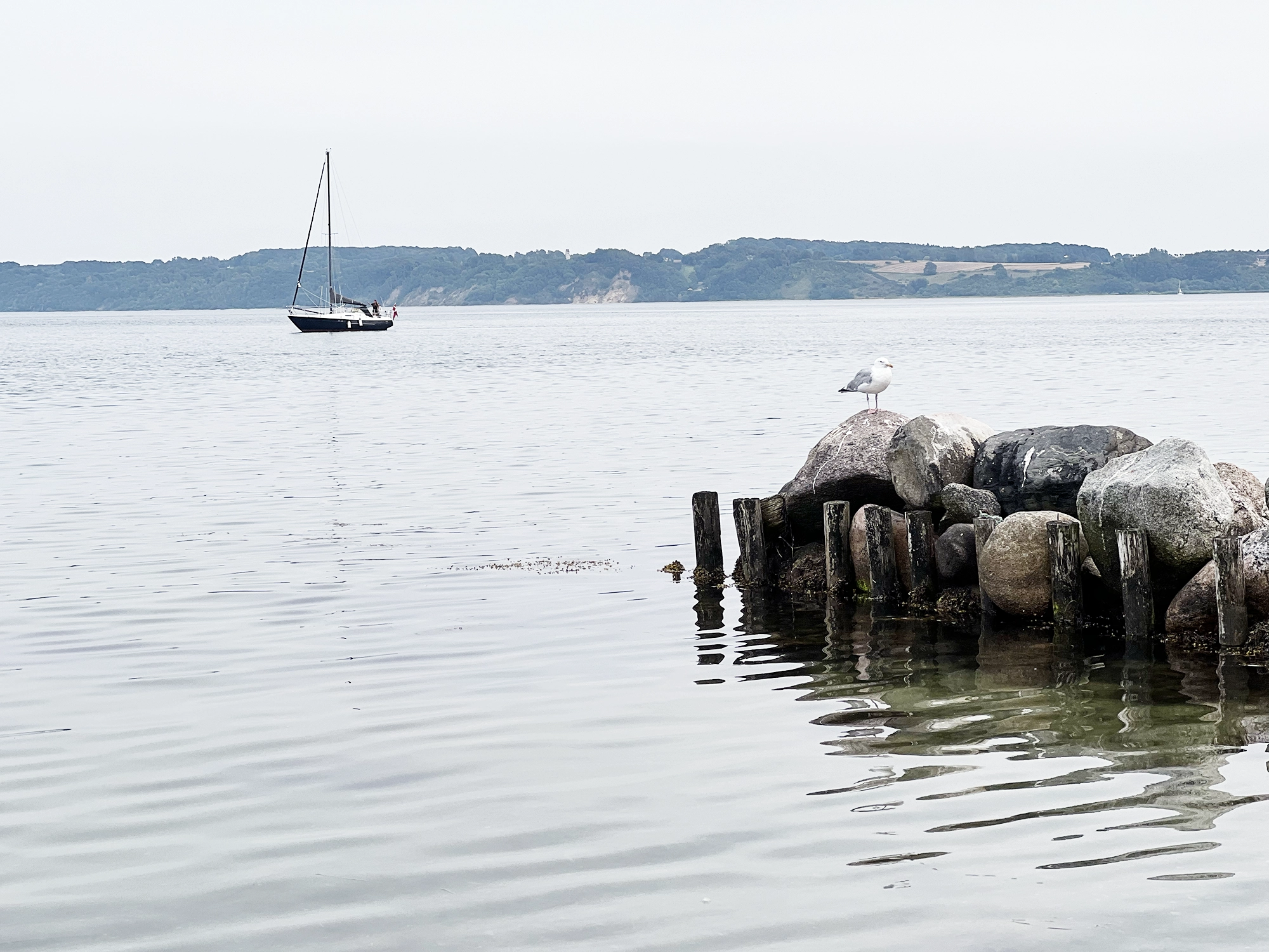 Denmark: My Guide to a Perfect Weekend in Fredericia: Where to Eat? Where to Stay? Things to Do?