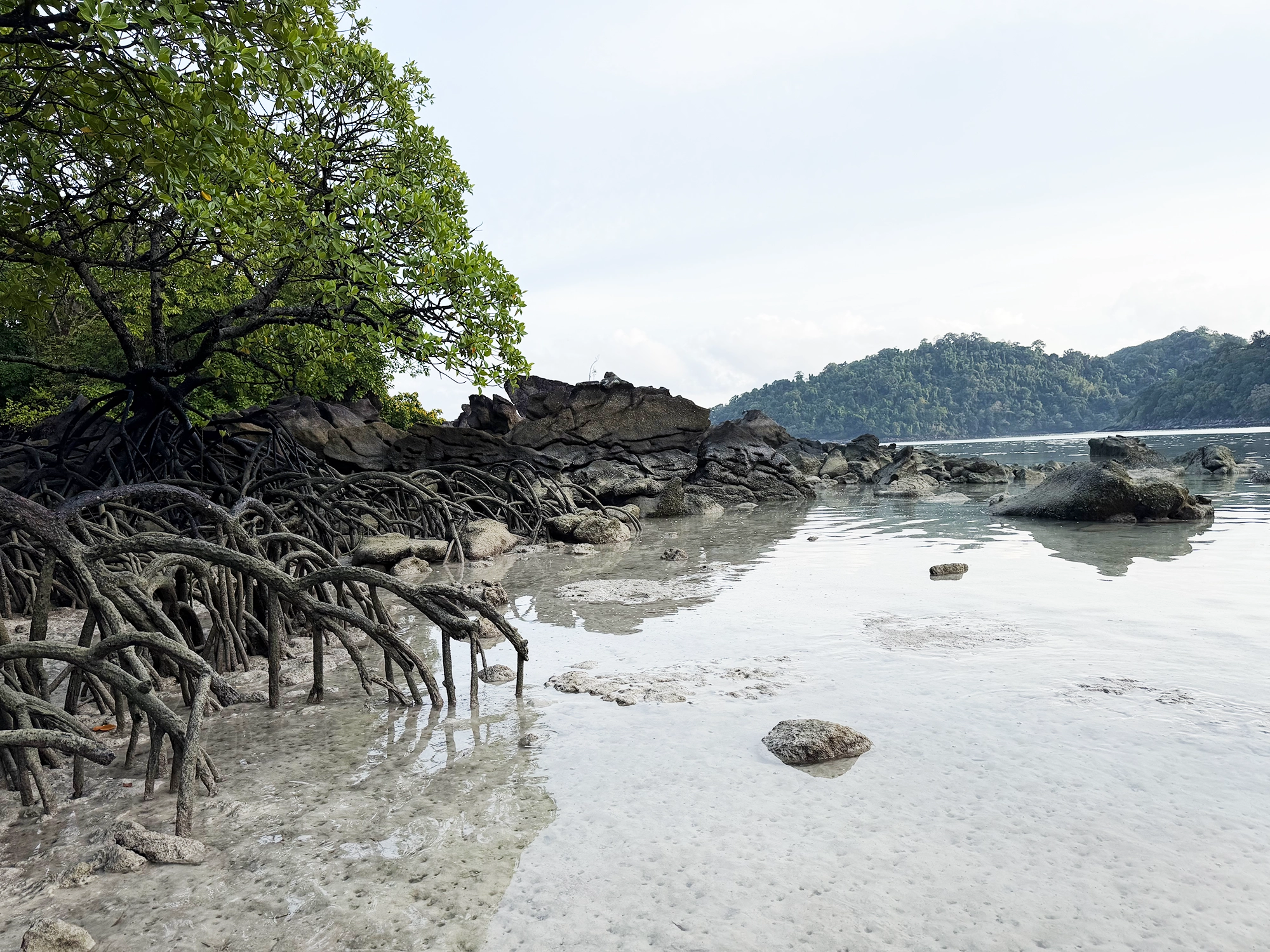 Surin islands