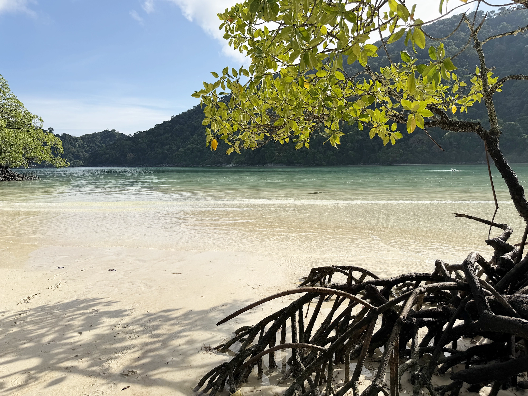Surin Islands