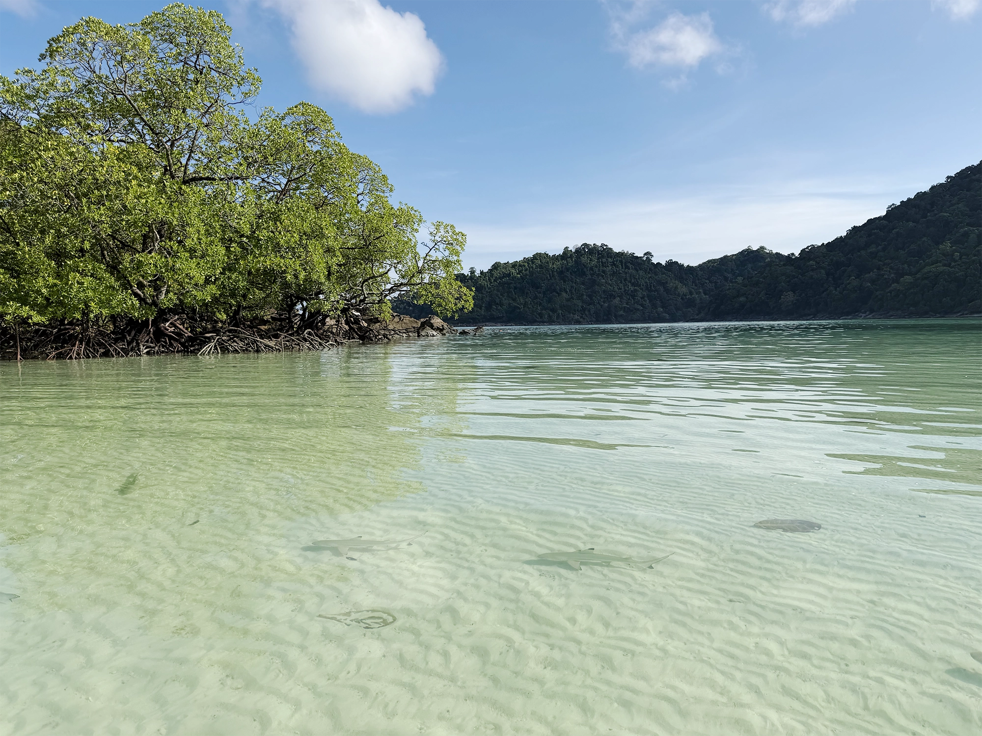 Surin Islands