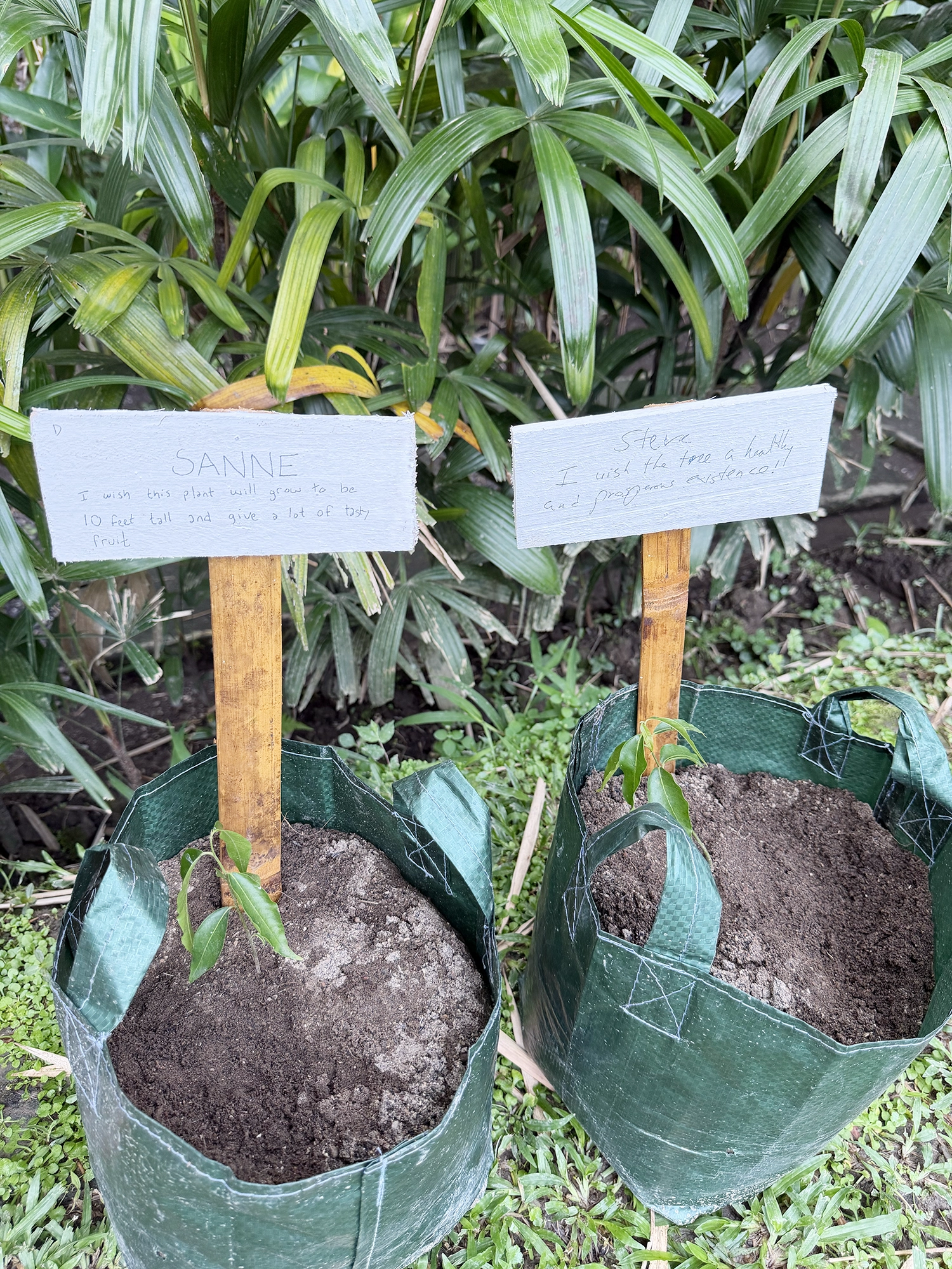 Plataran Ubud