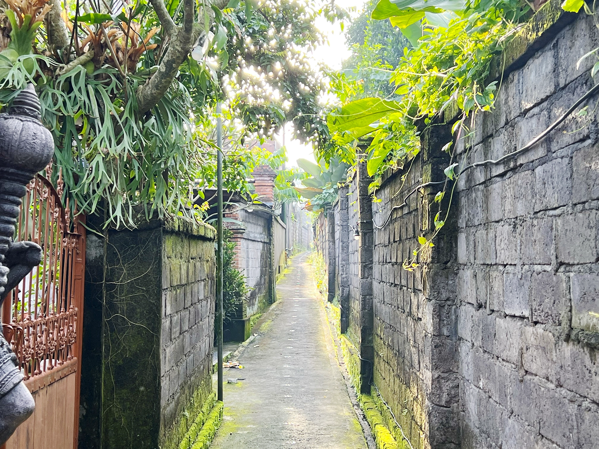 Ubud Essentials: A Quick Guide to Ubud