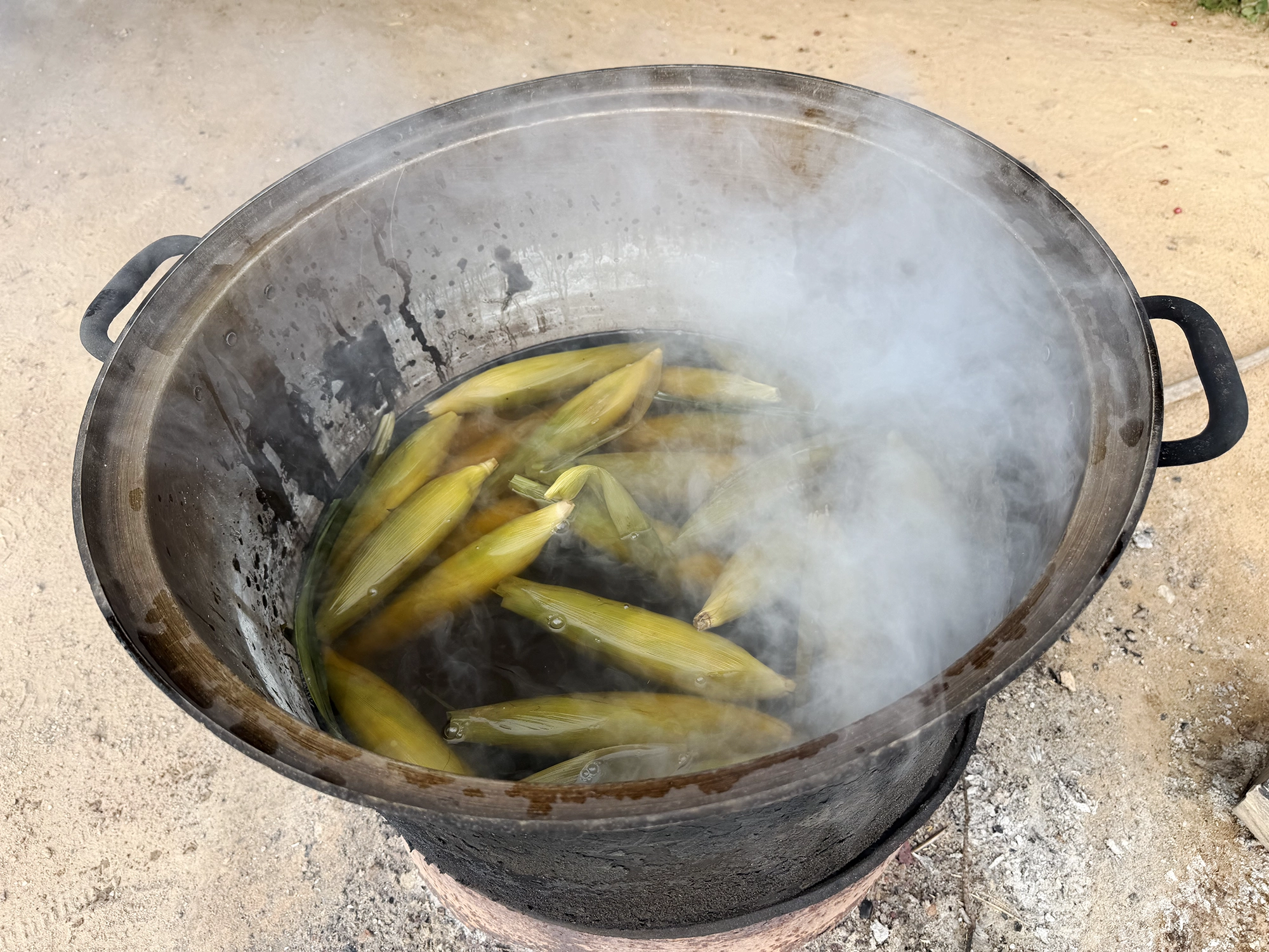 Roadside Corn in Cambodia