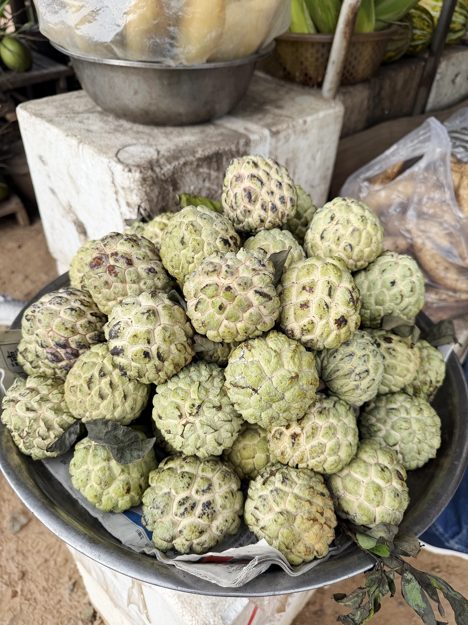 Roadside Corn in Cambodia