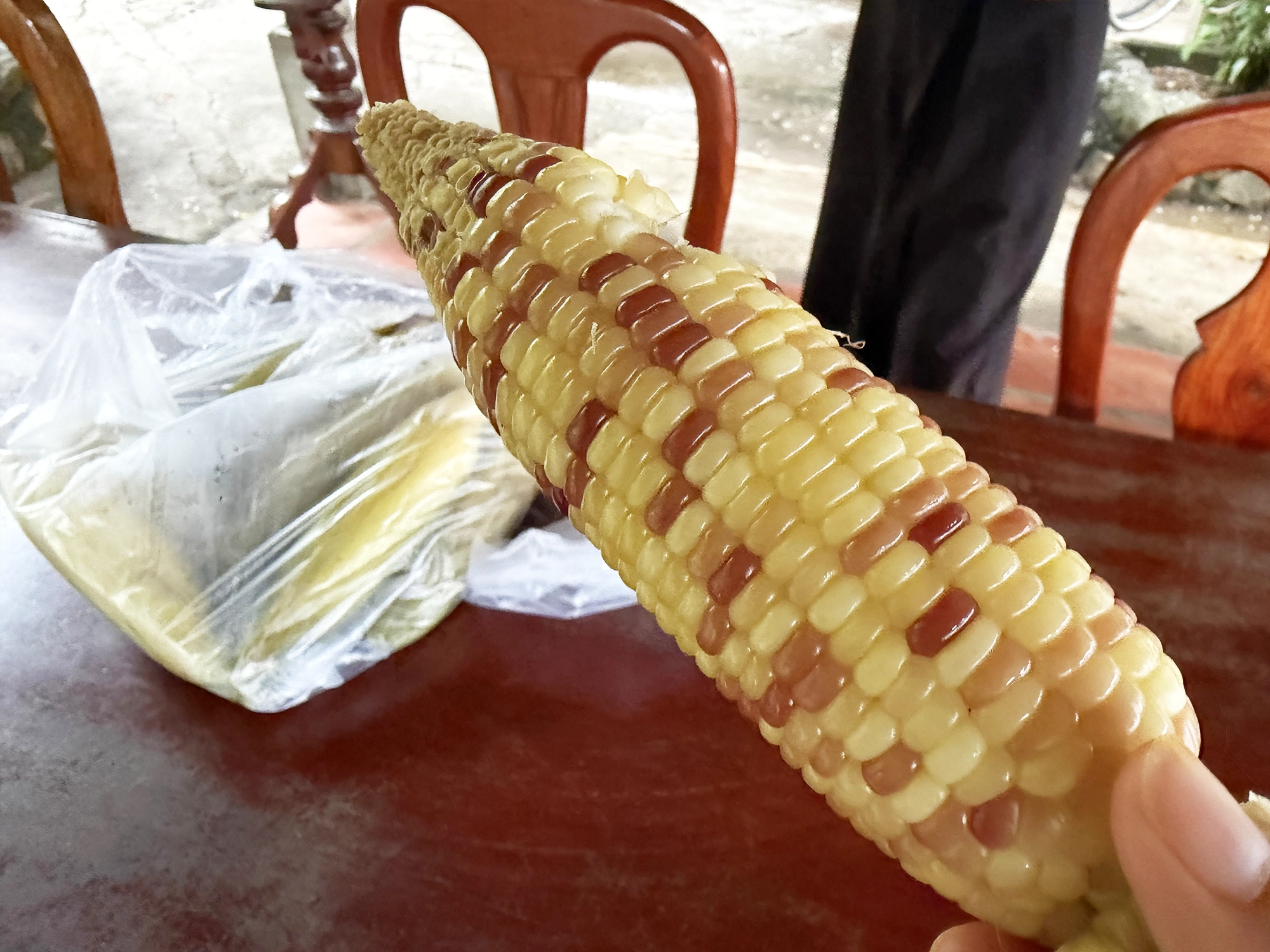 Roadside Corn in Cambodia