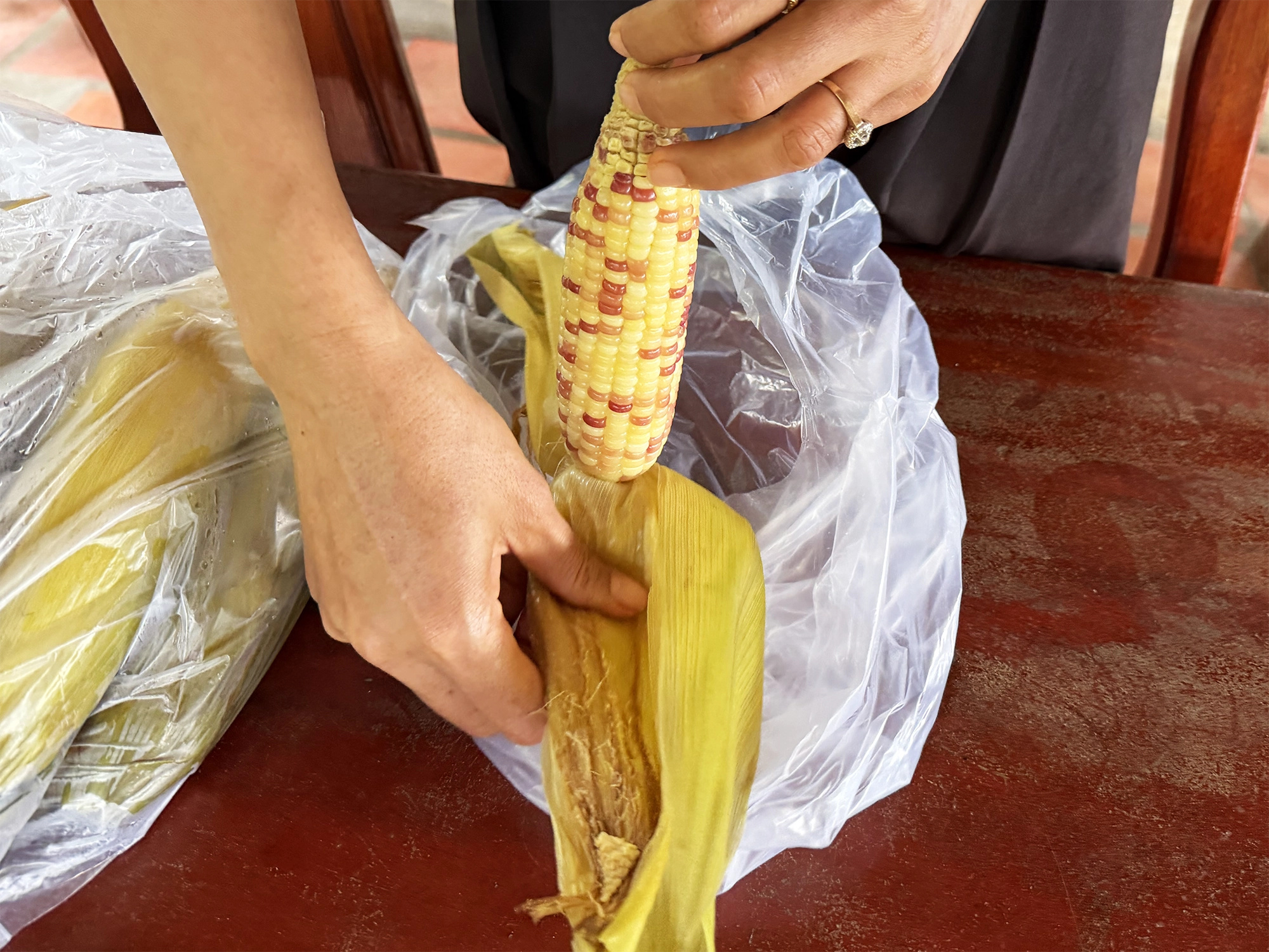 Roadside Corn in Cambodia