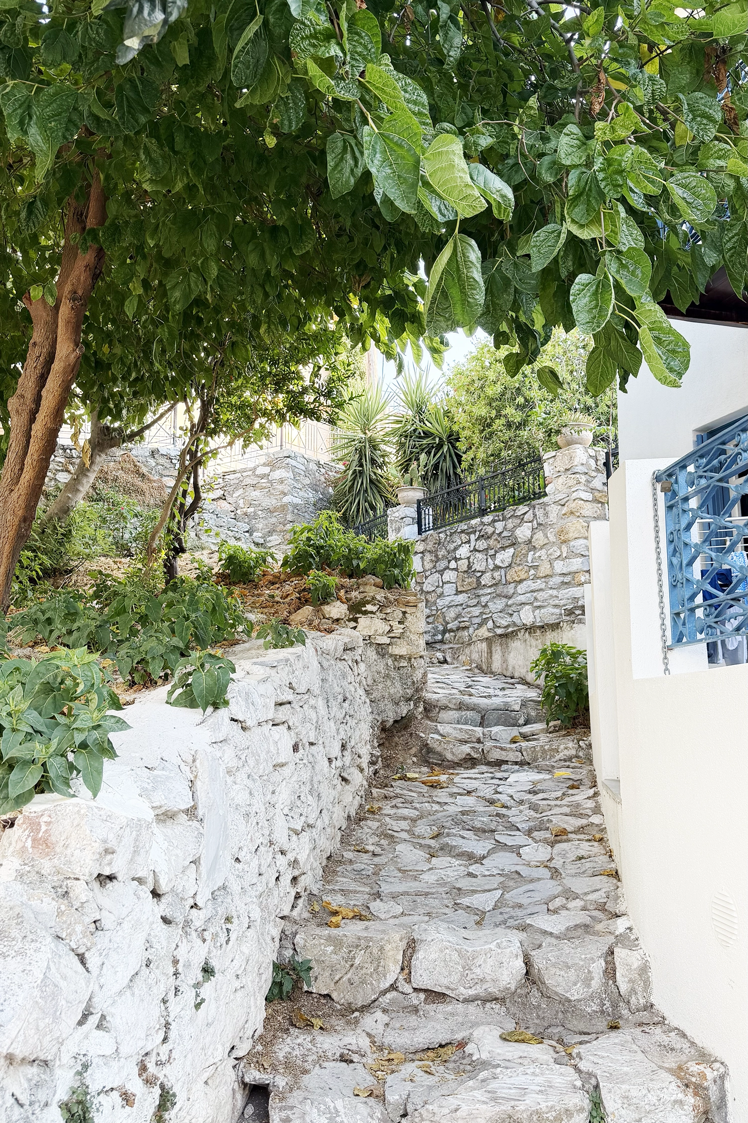 Skiathos Blog