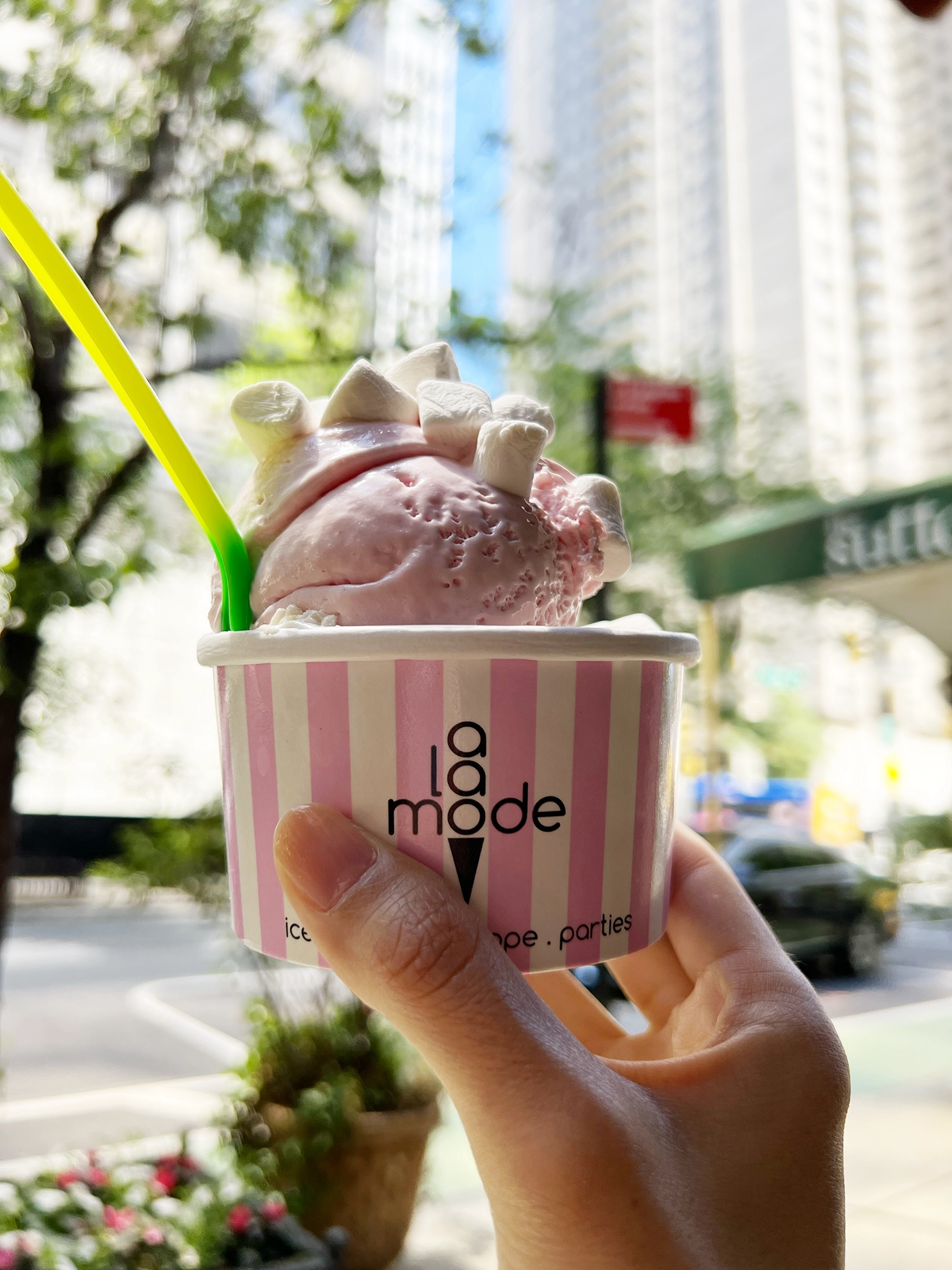NYC: A La Mode - Nut-Free Ice Cream in Manhattan