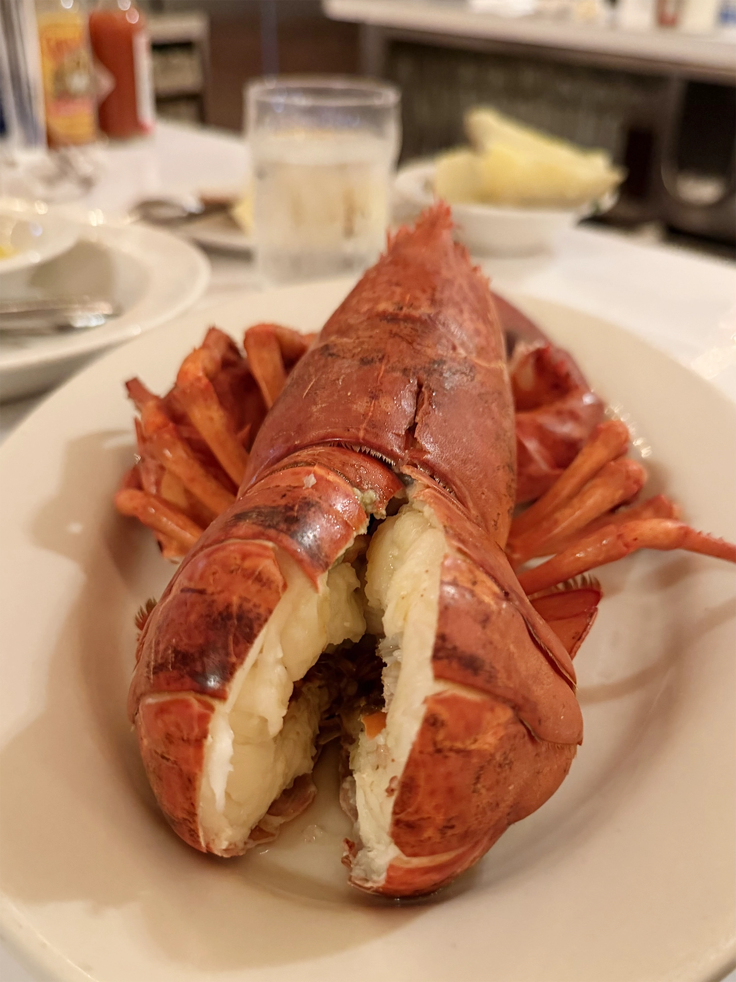Grand Central Oyster Bar – New York's Legendary Seafood Restaurant