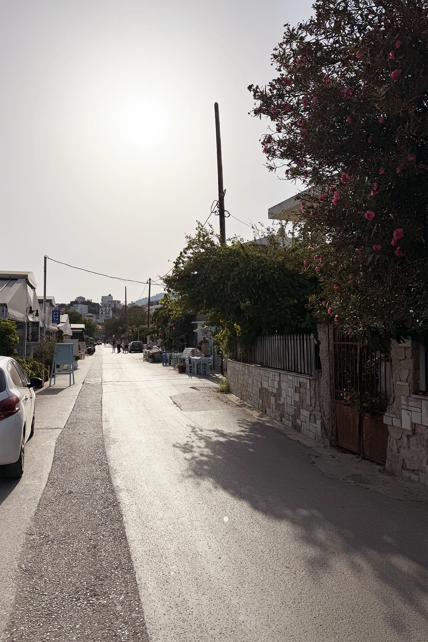 Skiathos Blog