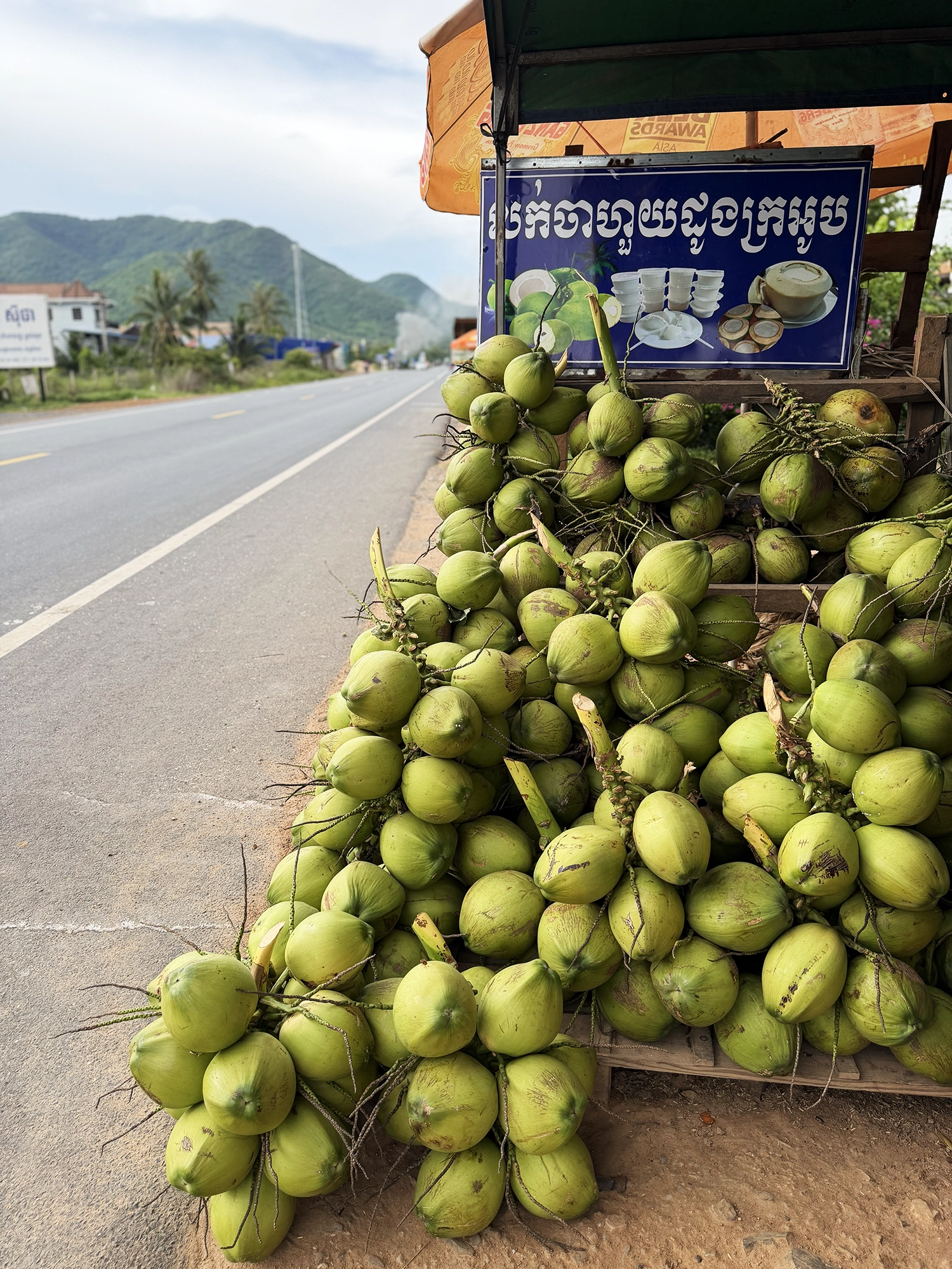 Cambodia: Trying coconut jelly from a roadside stand - A delicious dessert